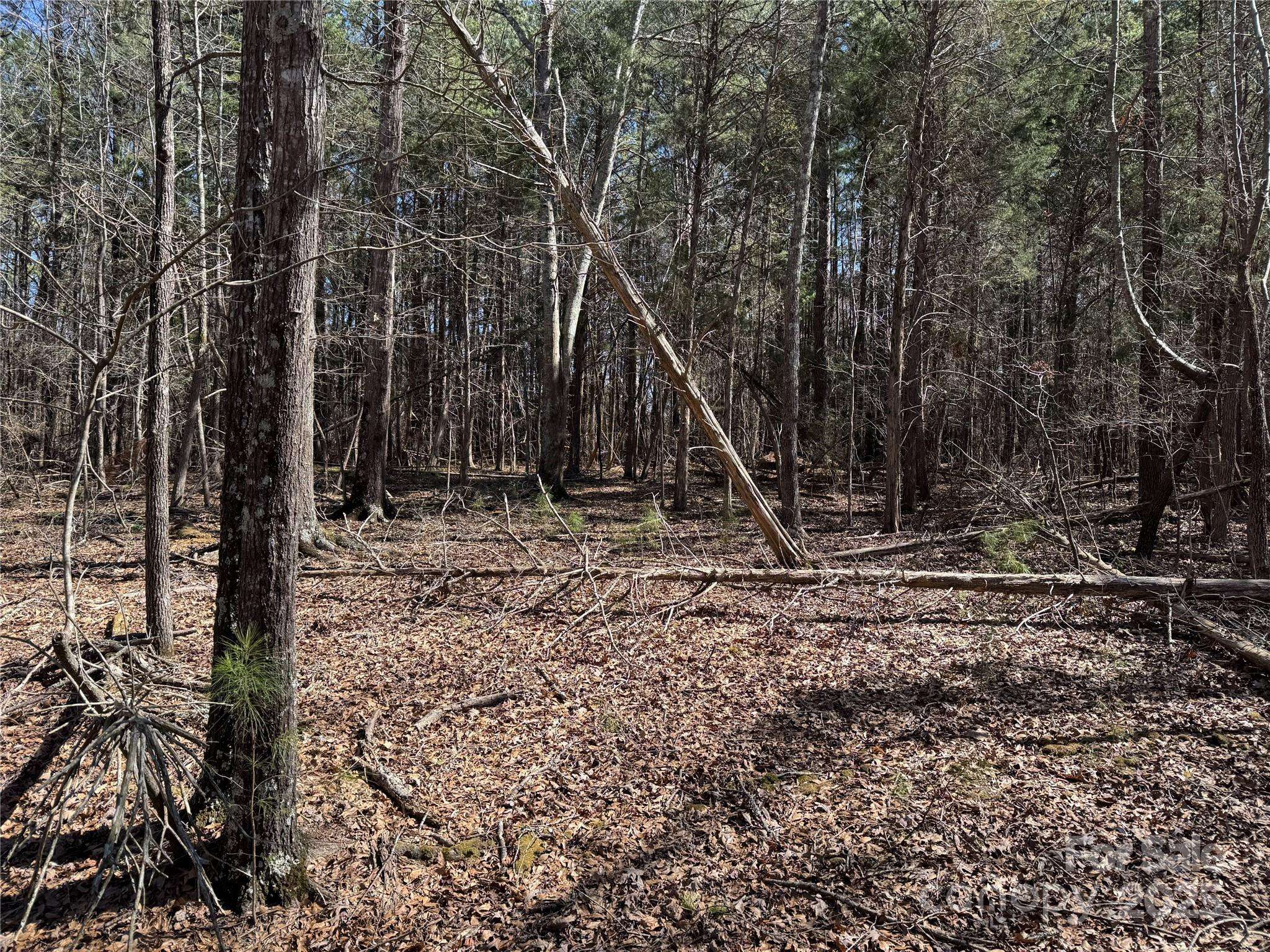1905 Bechtler RD, Edgemoor, SC 29712