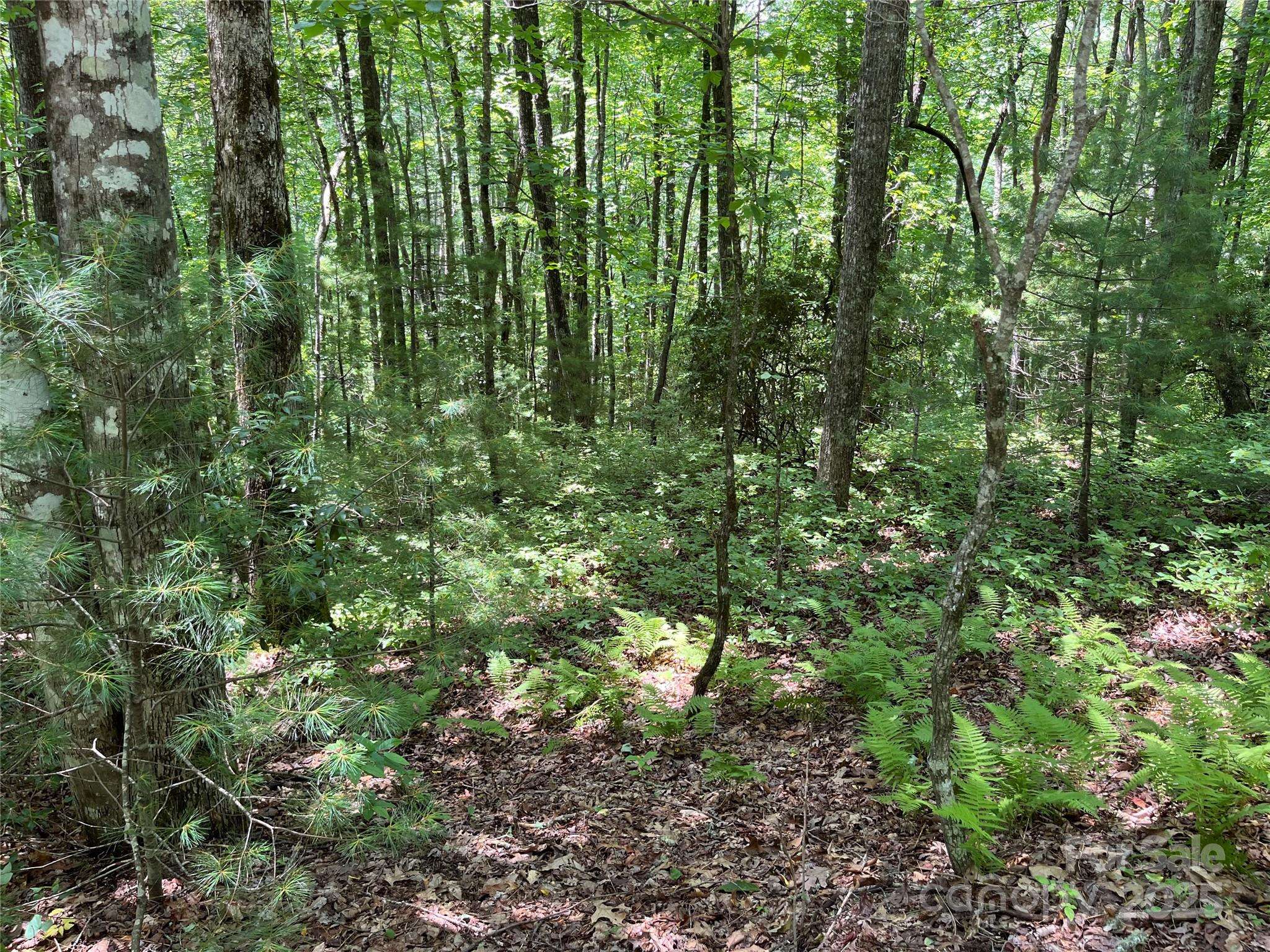 57 Big Branch RD, Brevard, NC 28712