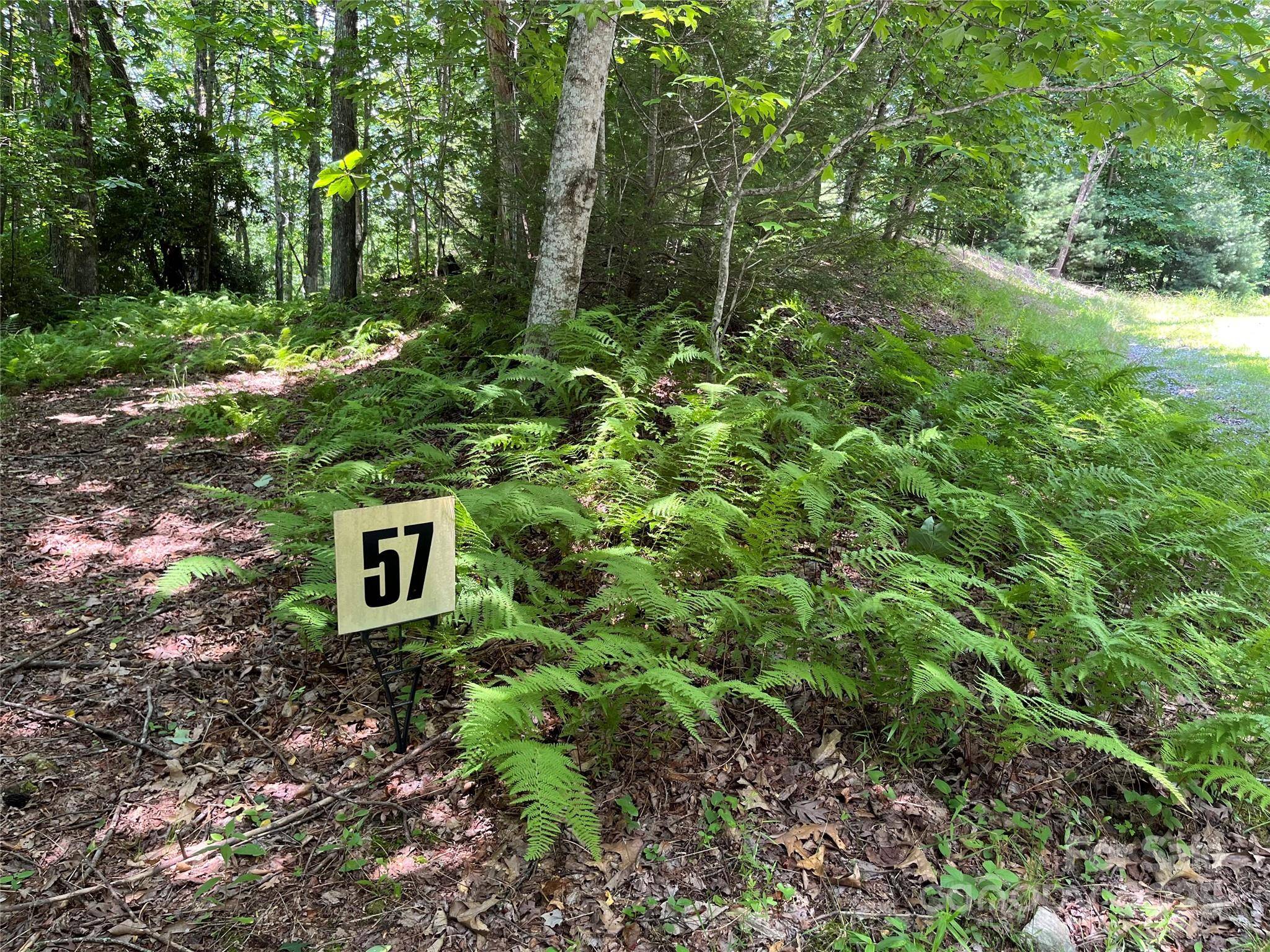57 Big Branch RD, Brevard, NC 28712