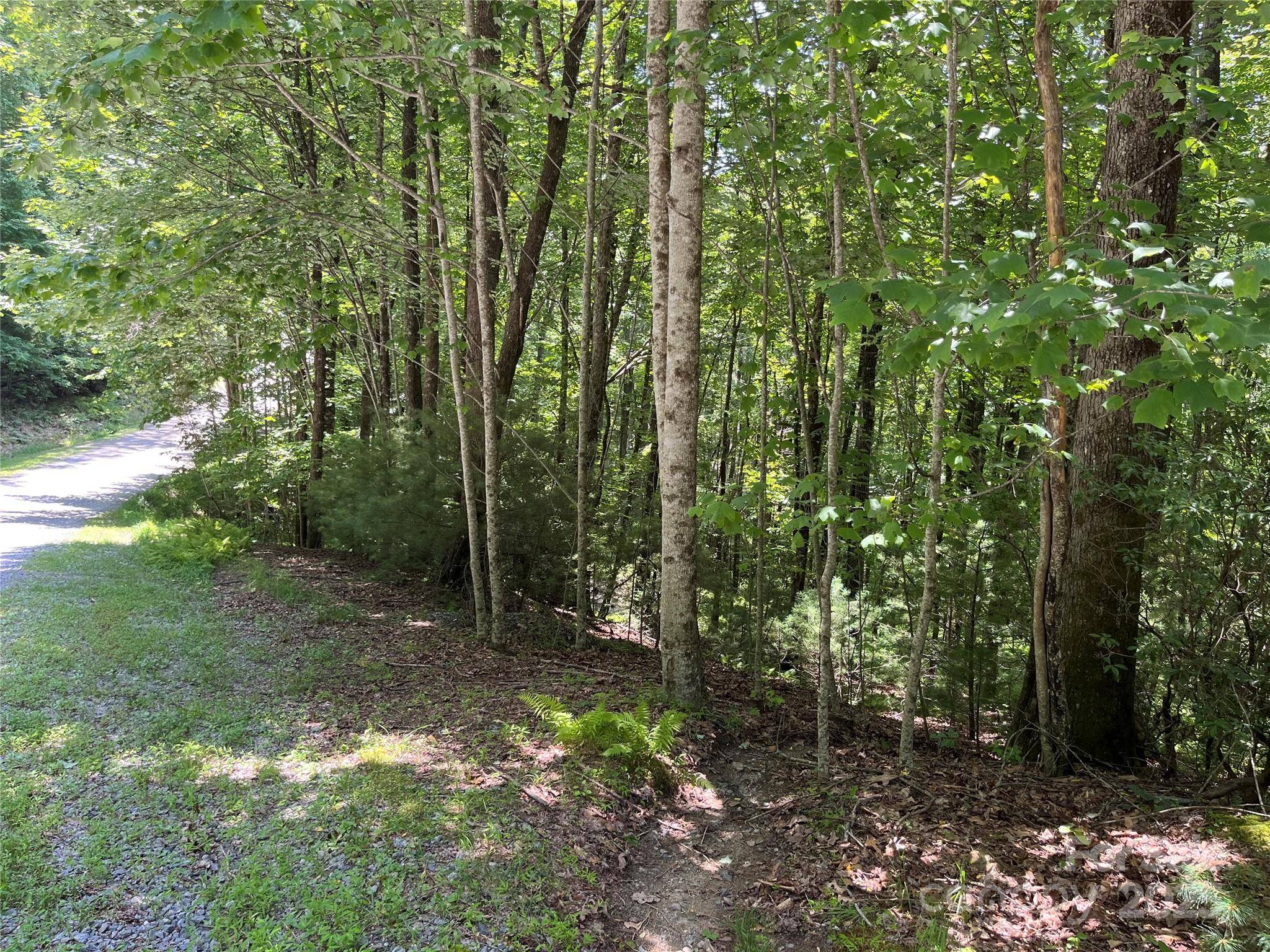 57 Big Branch RD, Brevard, NC 28712