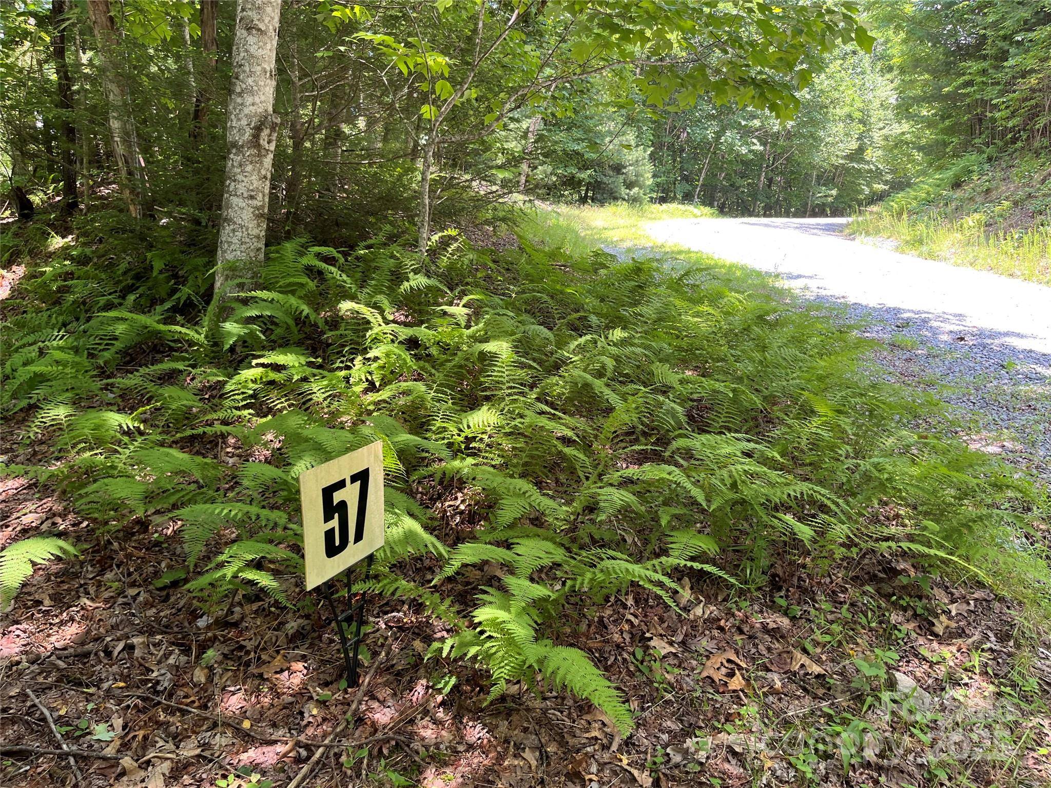 57 Big Branch RD, Brevard, NC 28712