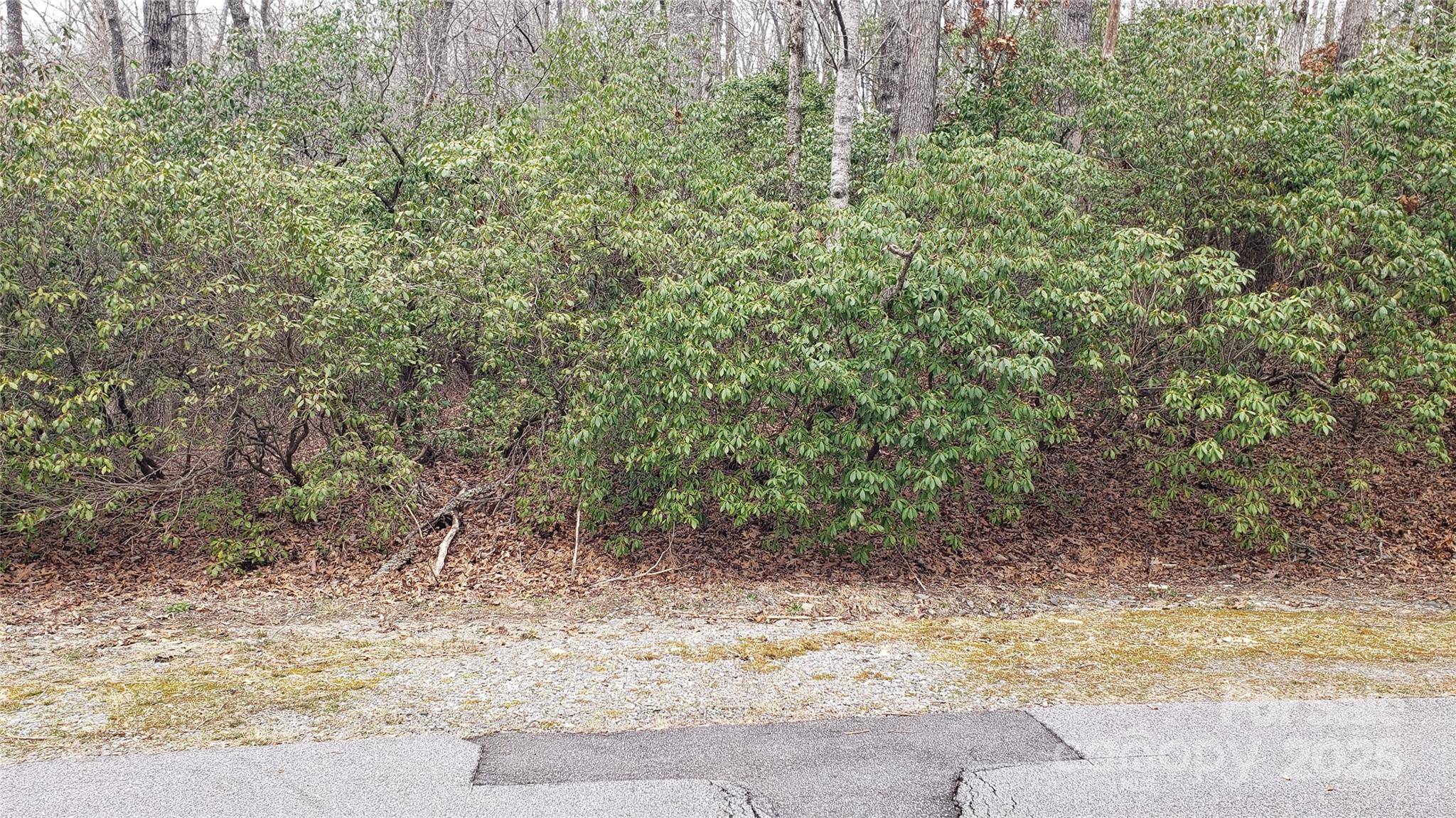 9999 Gagama CT #16/19, Brevard, NC 28712