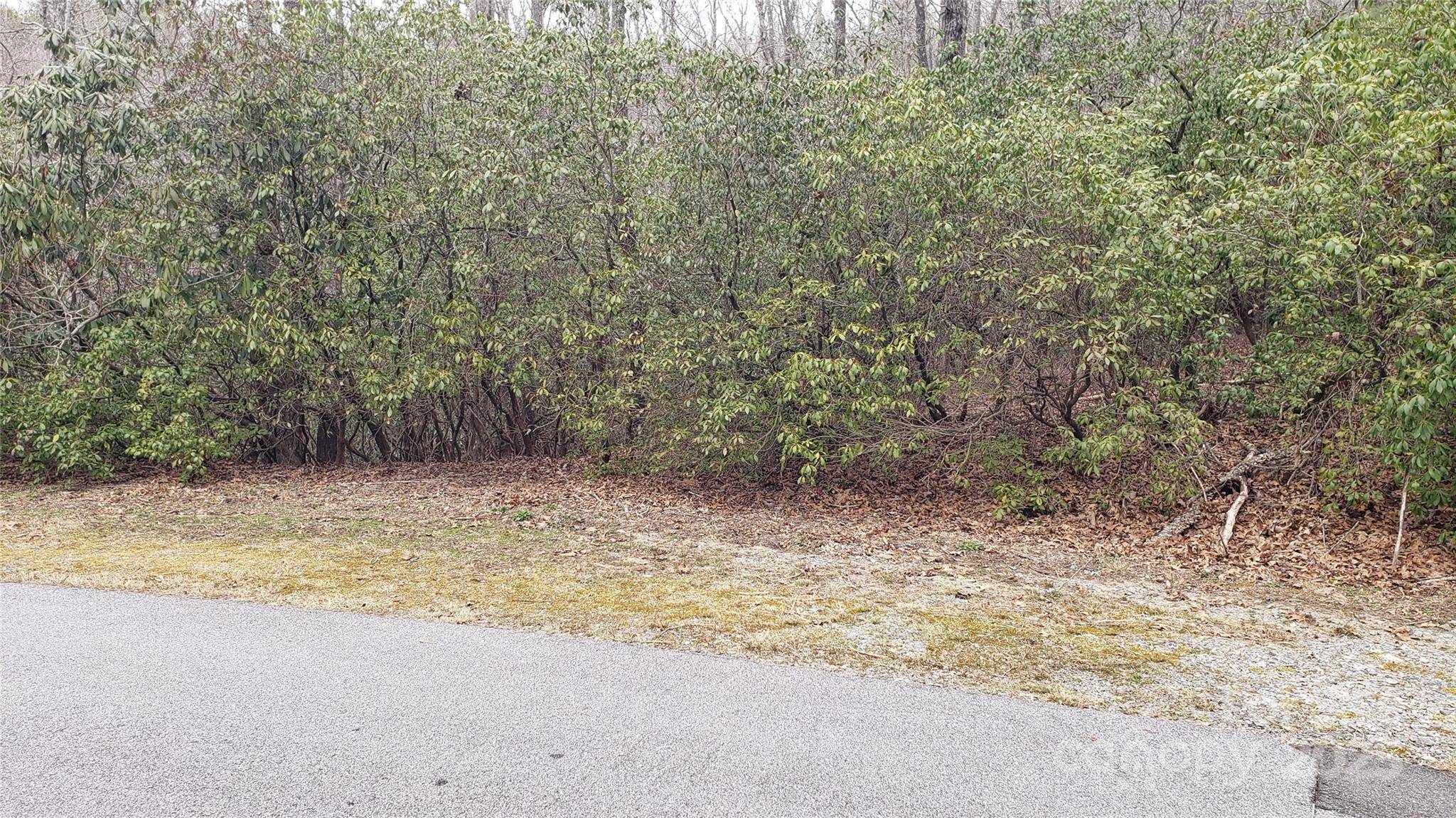 9999 Gagama CT #16/19, Brevard, NC 28712