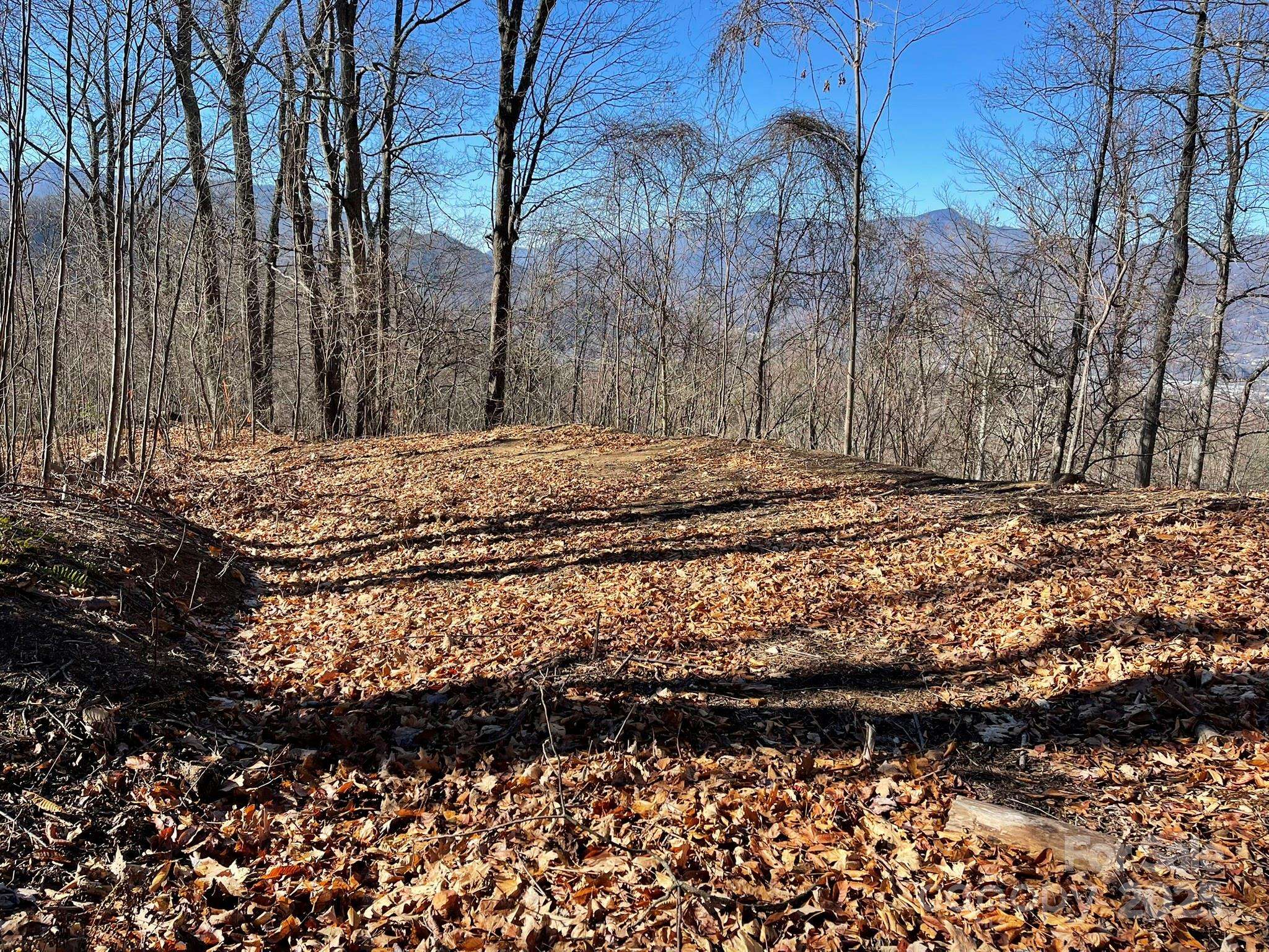 00 Weatherwatch LN #48, Waynesville, NC 28786