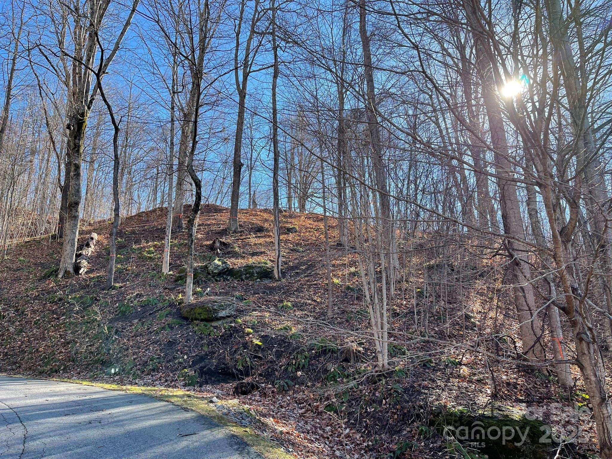 00 Weatherwatch LN #48, Waynesville, NC 28786