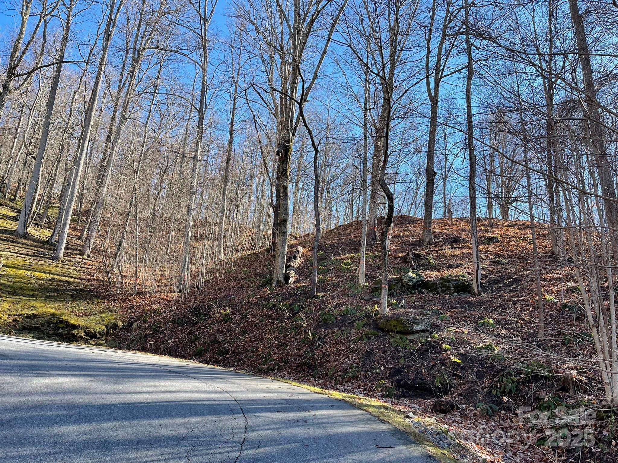 00 Weatherwatch LN #48, Waynesville, NC 28786