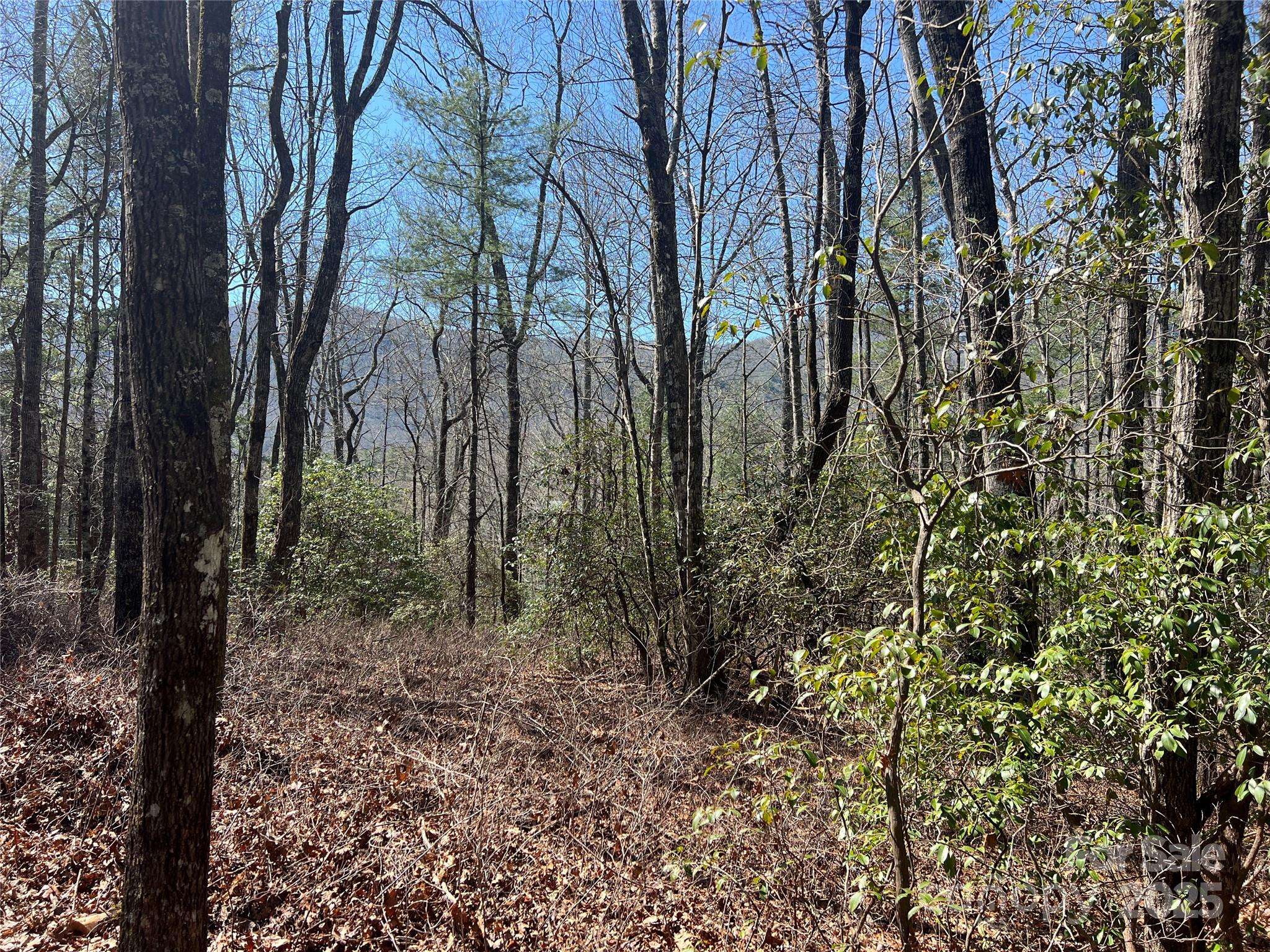 TBD Panther Ridge RD, Lake Toxaway, NC 28747