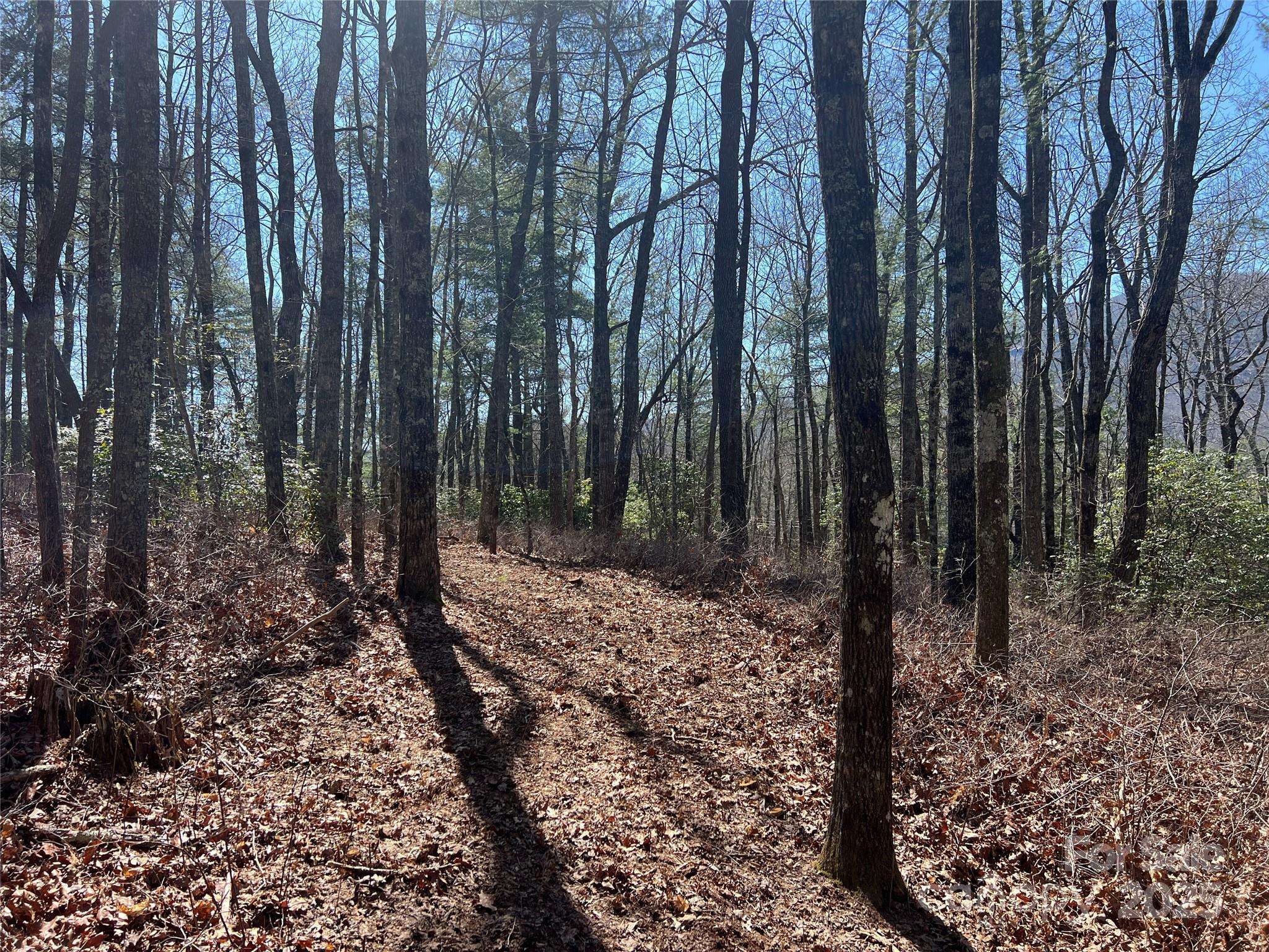 TBD Panther Ridge RD, Lake Toxaway, NC 28747