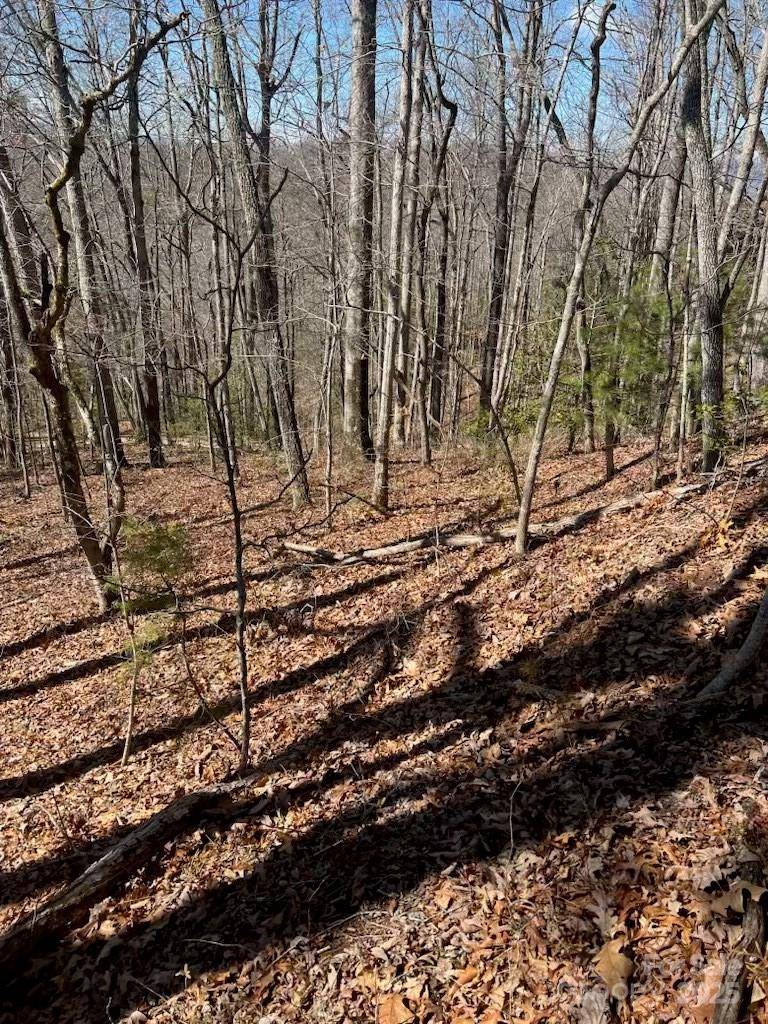 00 Timberland TRL, Franklin, NC 28734