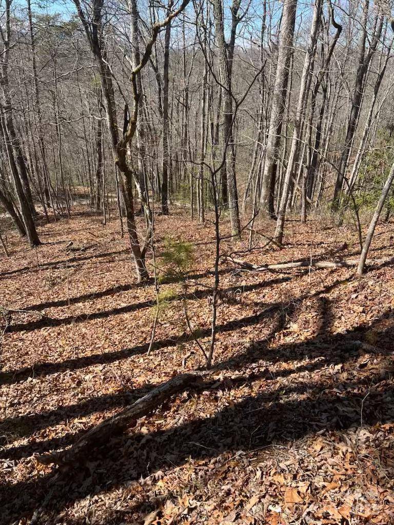 00 Timberland TRL, Franklin, NC 28734