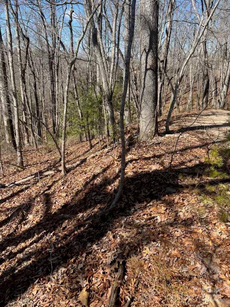 00 Timberland TRL, Franklin, NC 28734