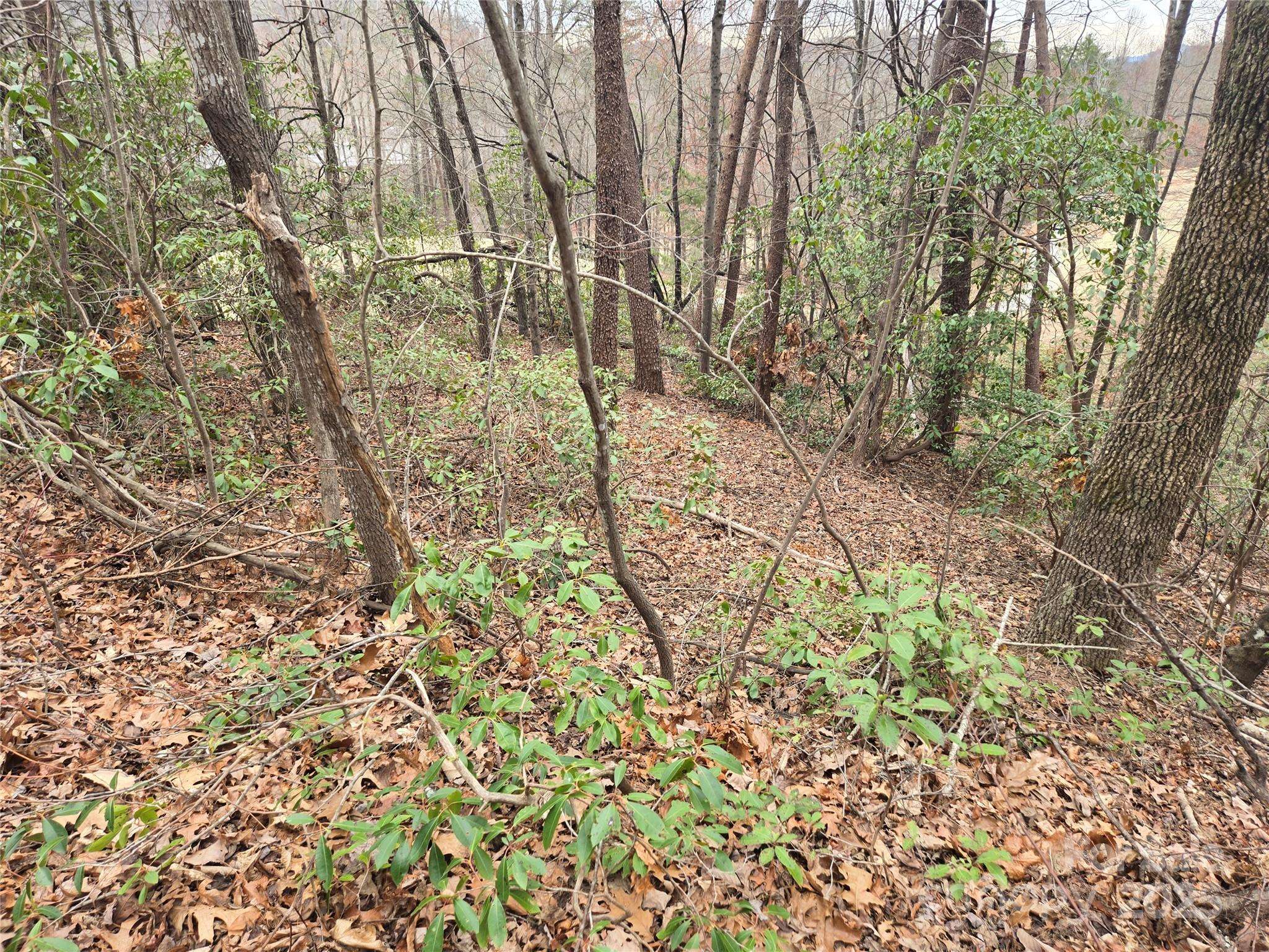 Lot 28 Roundabout RD, Lake Lure, NC 28746