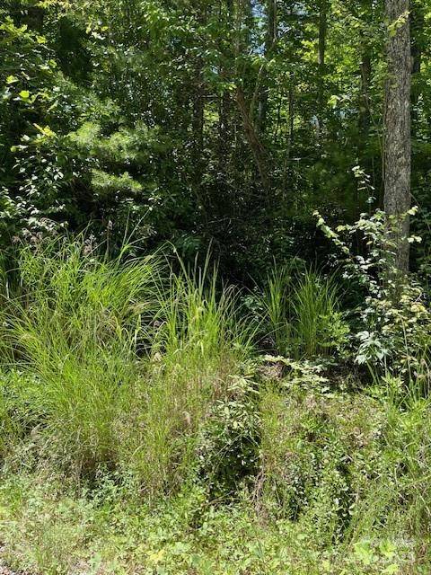 0 Pleasant Grove Church RD #3A, Hendersonville, NC 28792