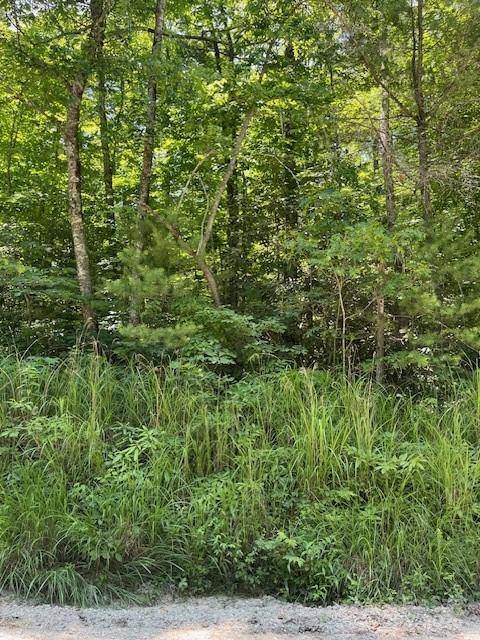 0 Pleasant Grove Church RD #3A, Hendersonville, NC 28792