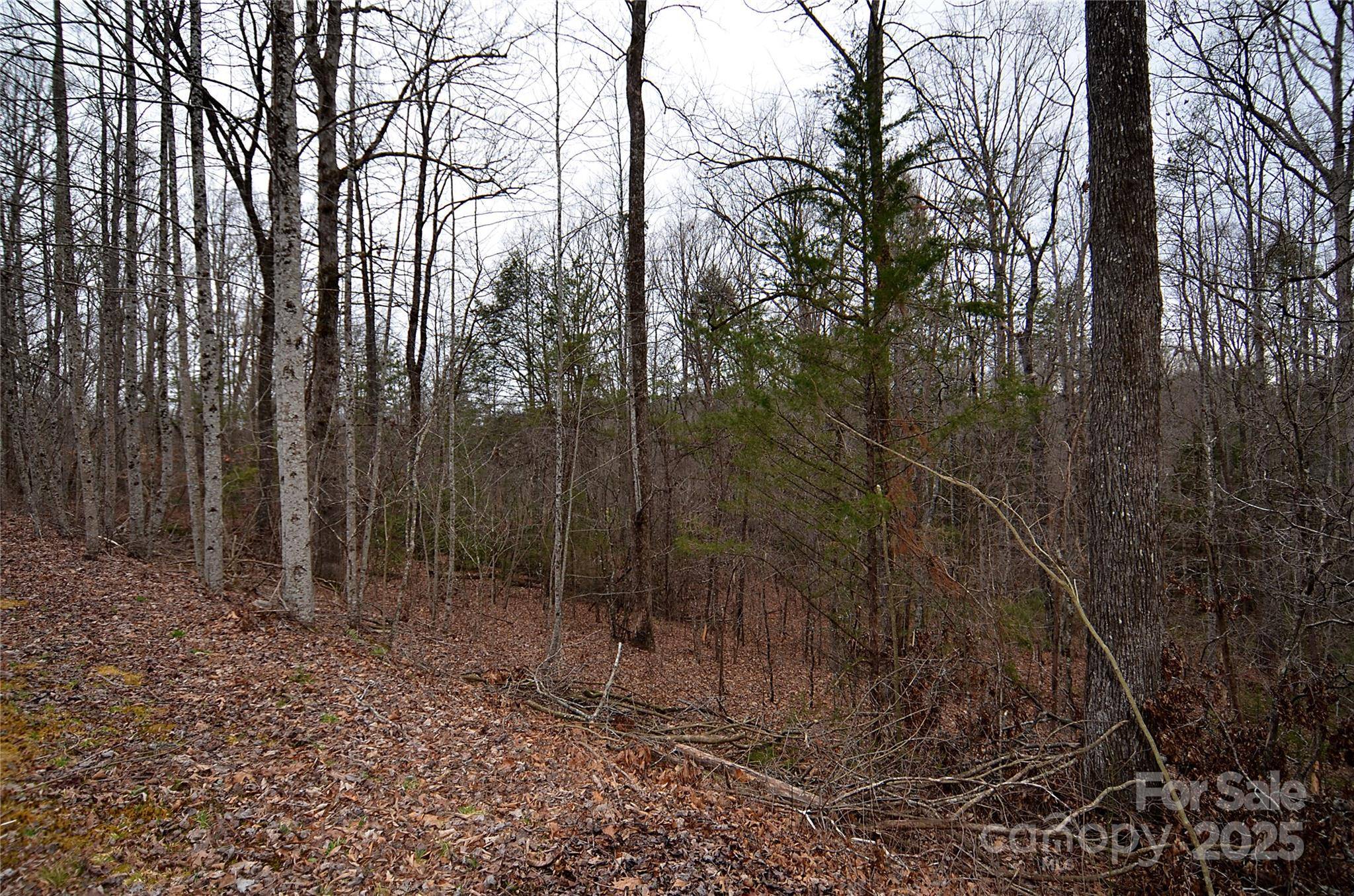 V/L #32 Bent Creek DR #32, Nebo, NC 28761
