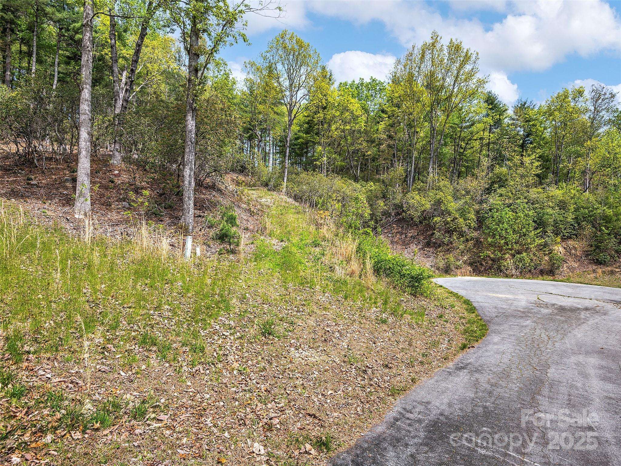 Lot #56 Winterberry DR, Hendersonville, NC 28739