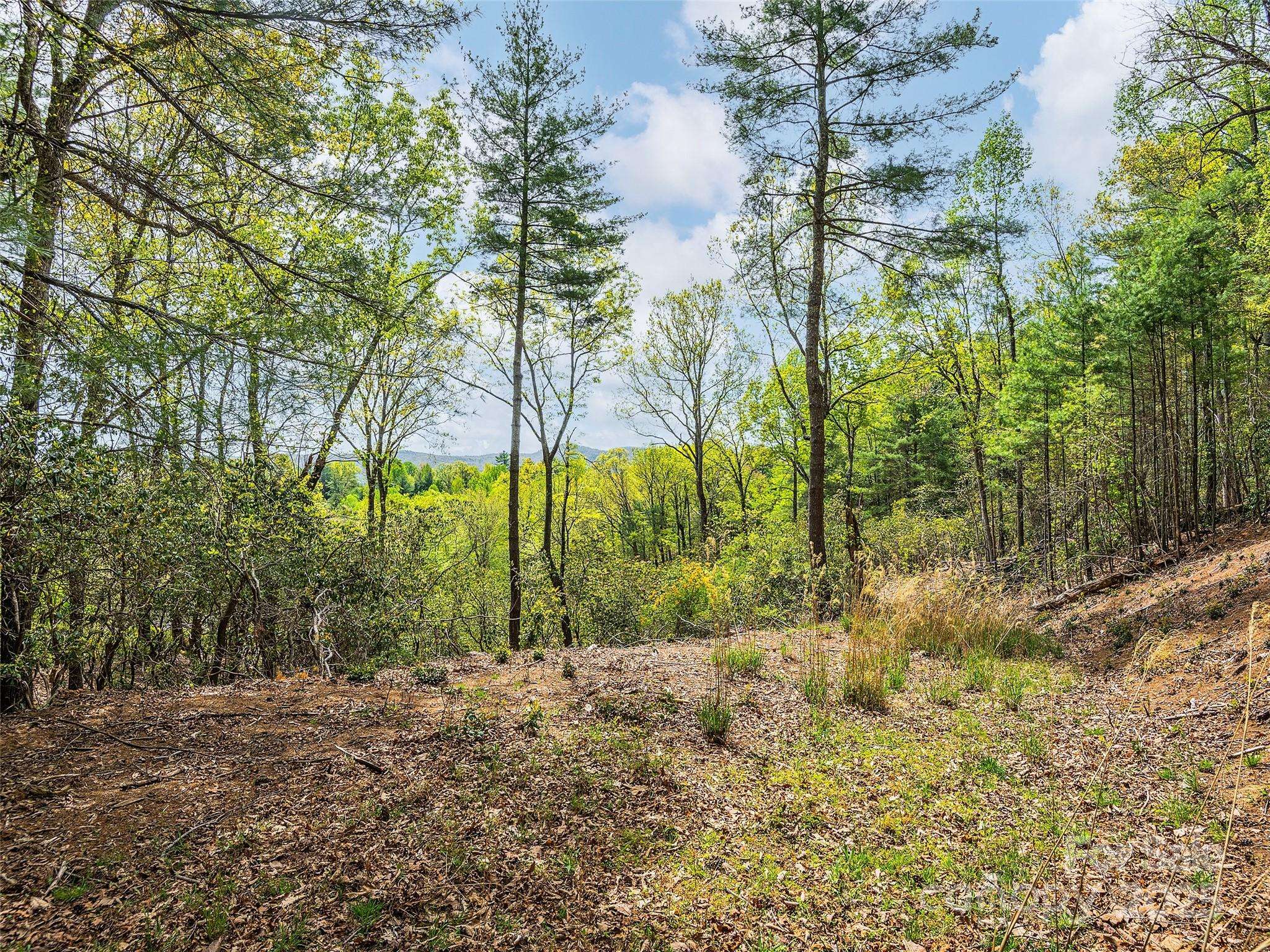 Lot #56 Winterberry DR, Hendersonville, NC 28739