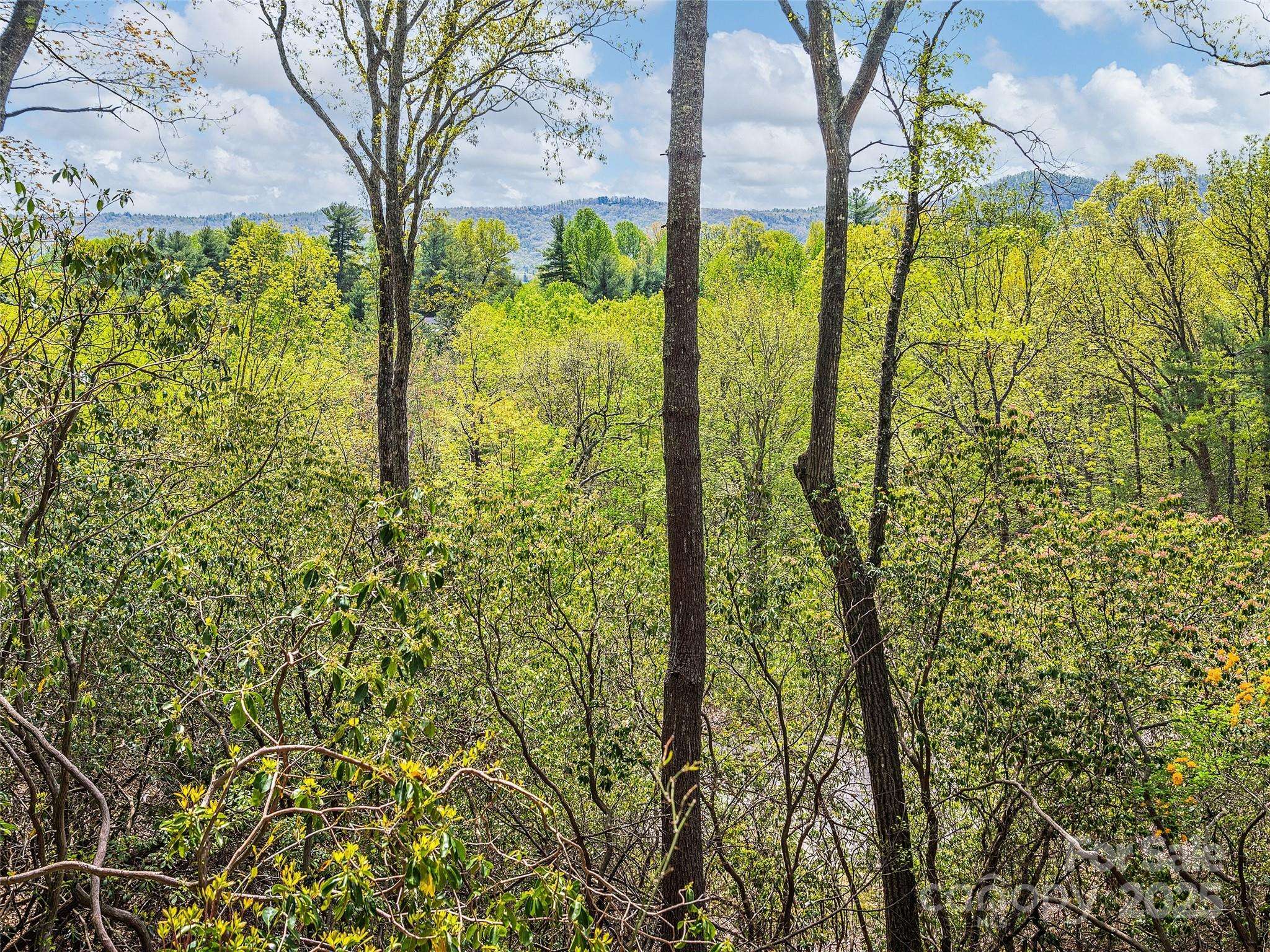 Lot #56 Winterberry DR, Hendersonville, NC 28739