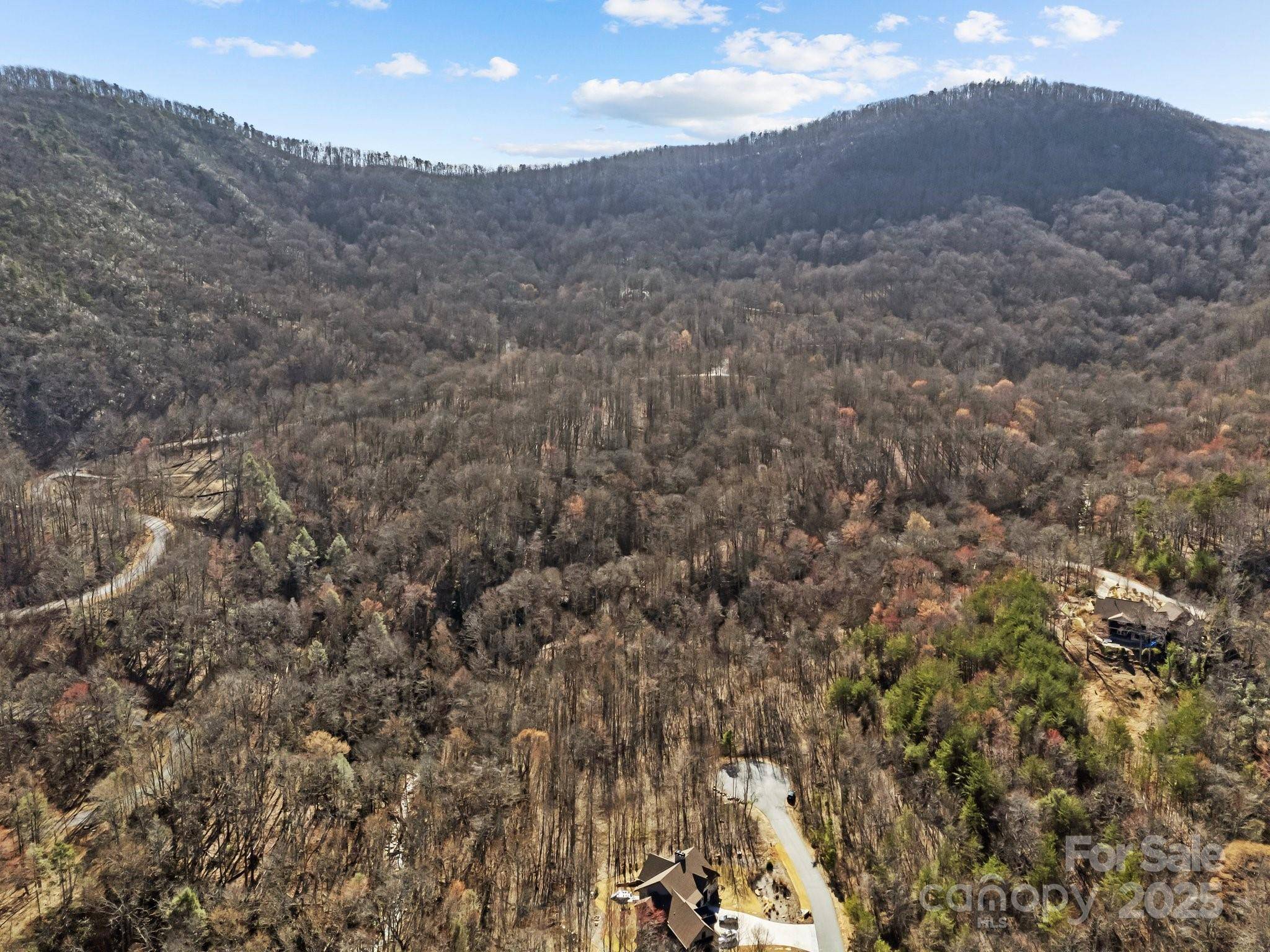 000 Stafford LN S #2065, Mill Spring, NC 28756