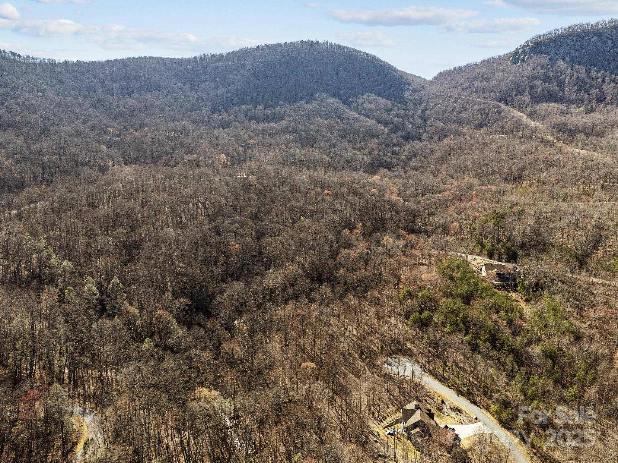 000 Stafford LN S #2065, Mill Spring, NC 28756
