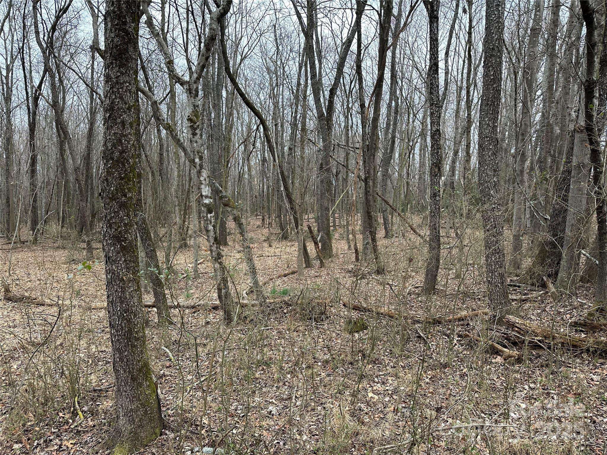 00 Austin Traphill RD #B, Elkin, NC 28621