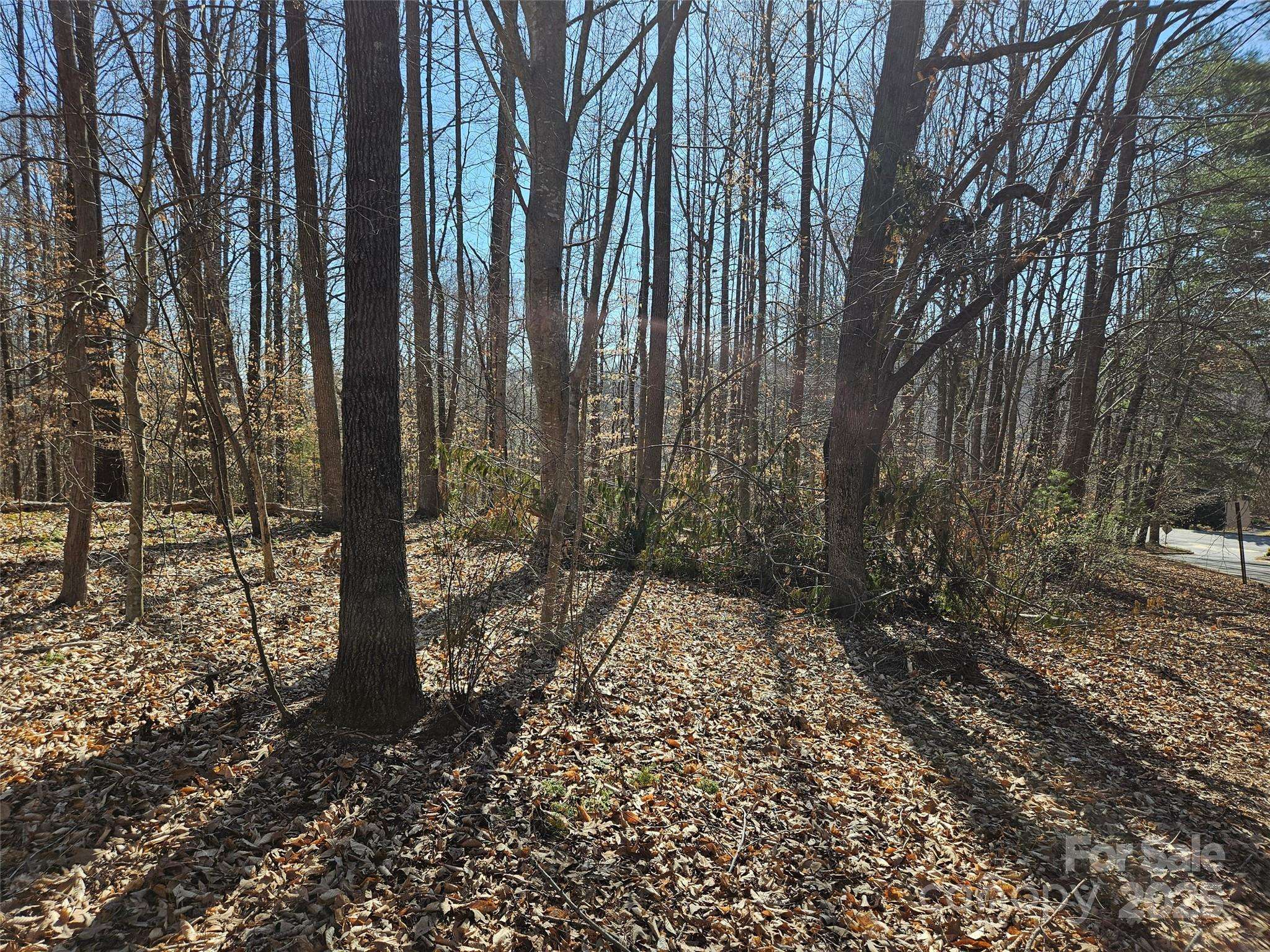 0 General Griffith CIR #35 & 37, Rutherfordton, NC 28139