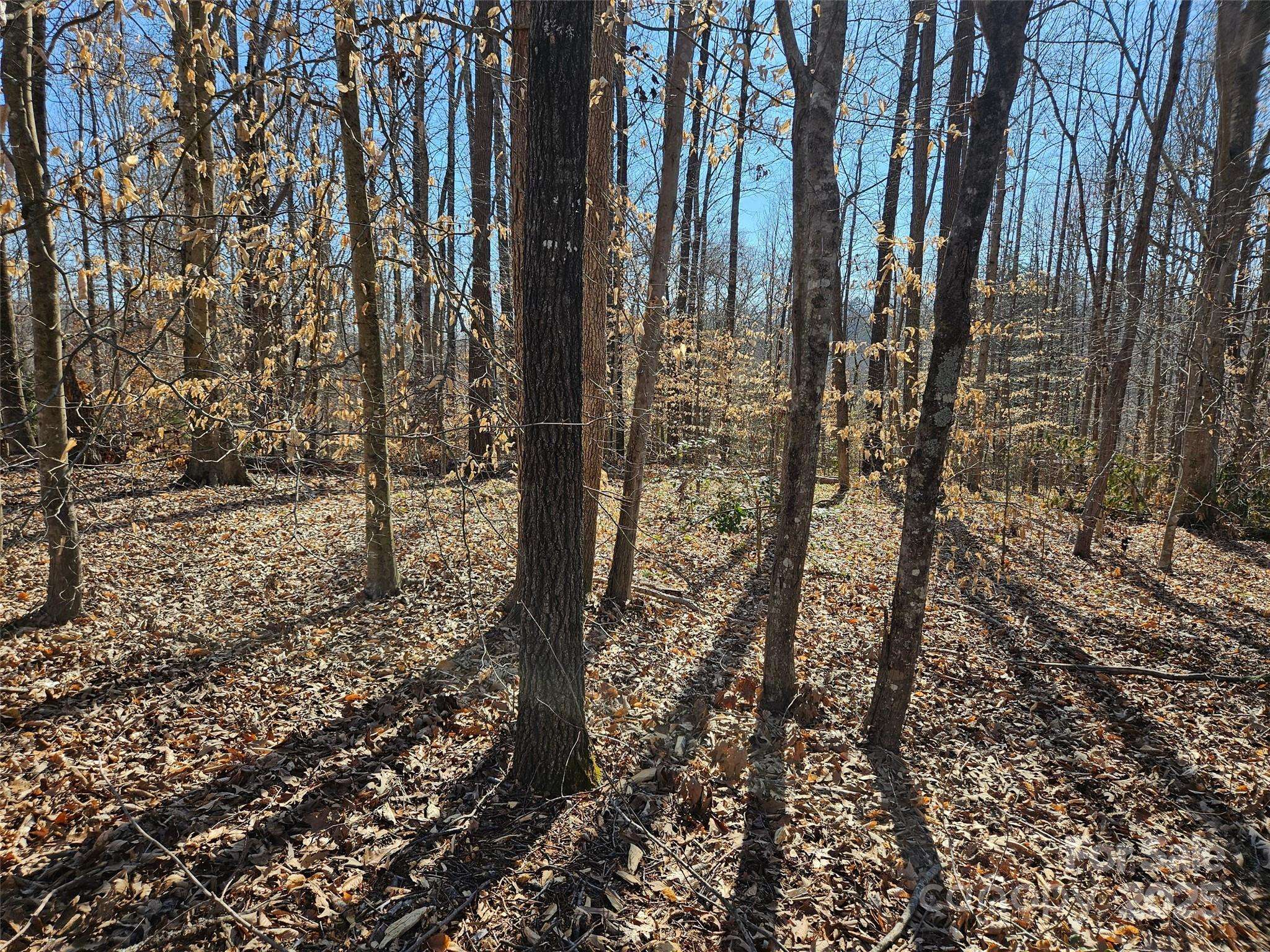 0 General Griffith CIR #35 & 37, Rutherfordton, NC 28139