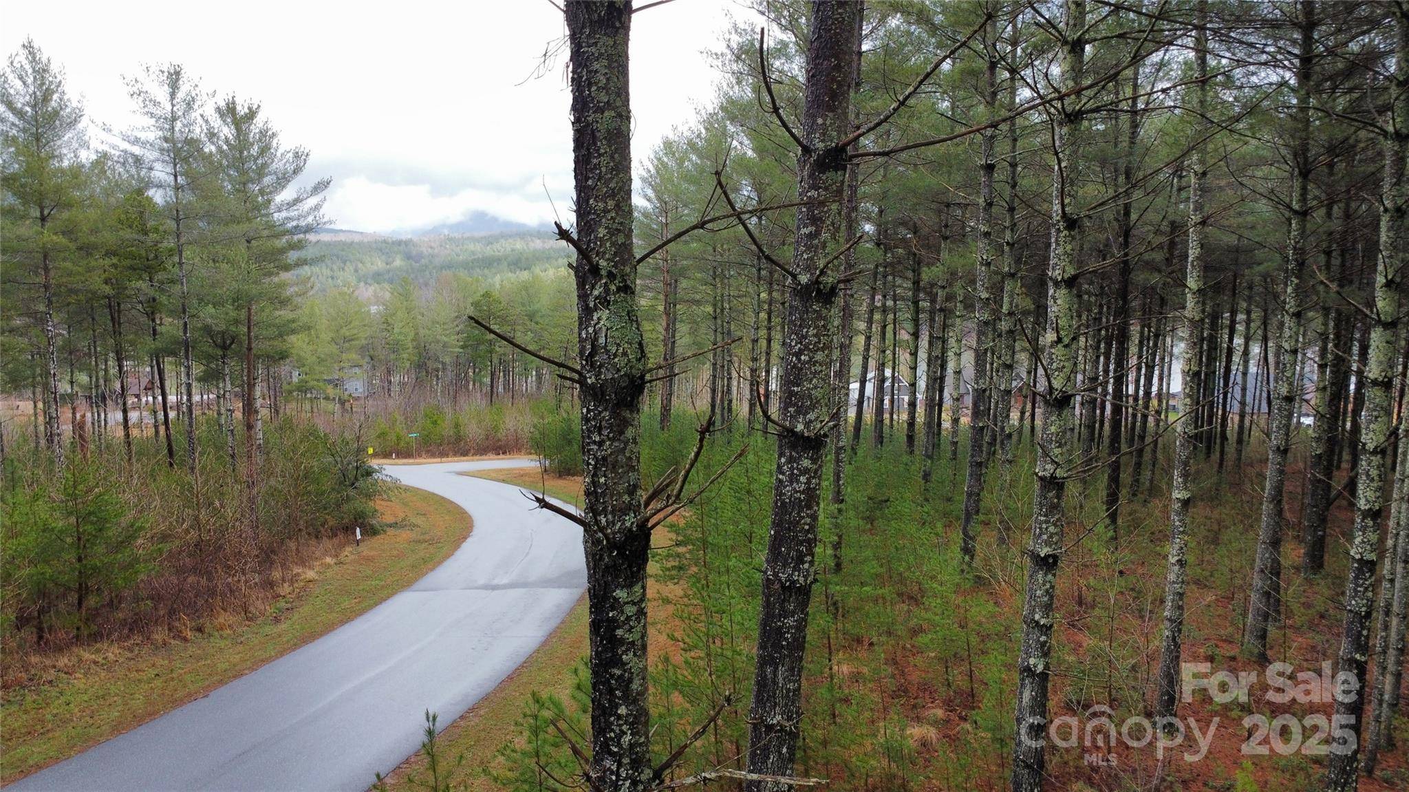 26 Peninsula Reserve RD #26, Nebo, NC 28761