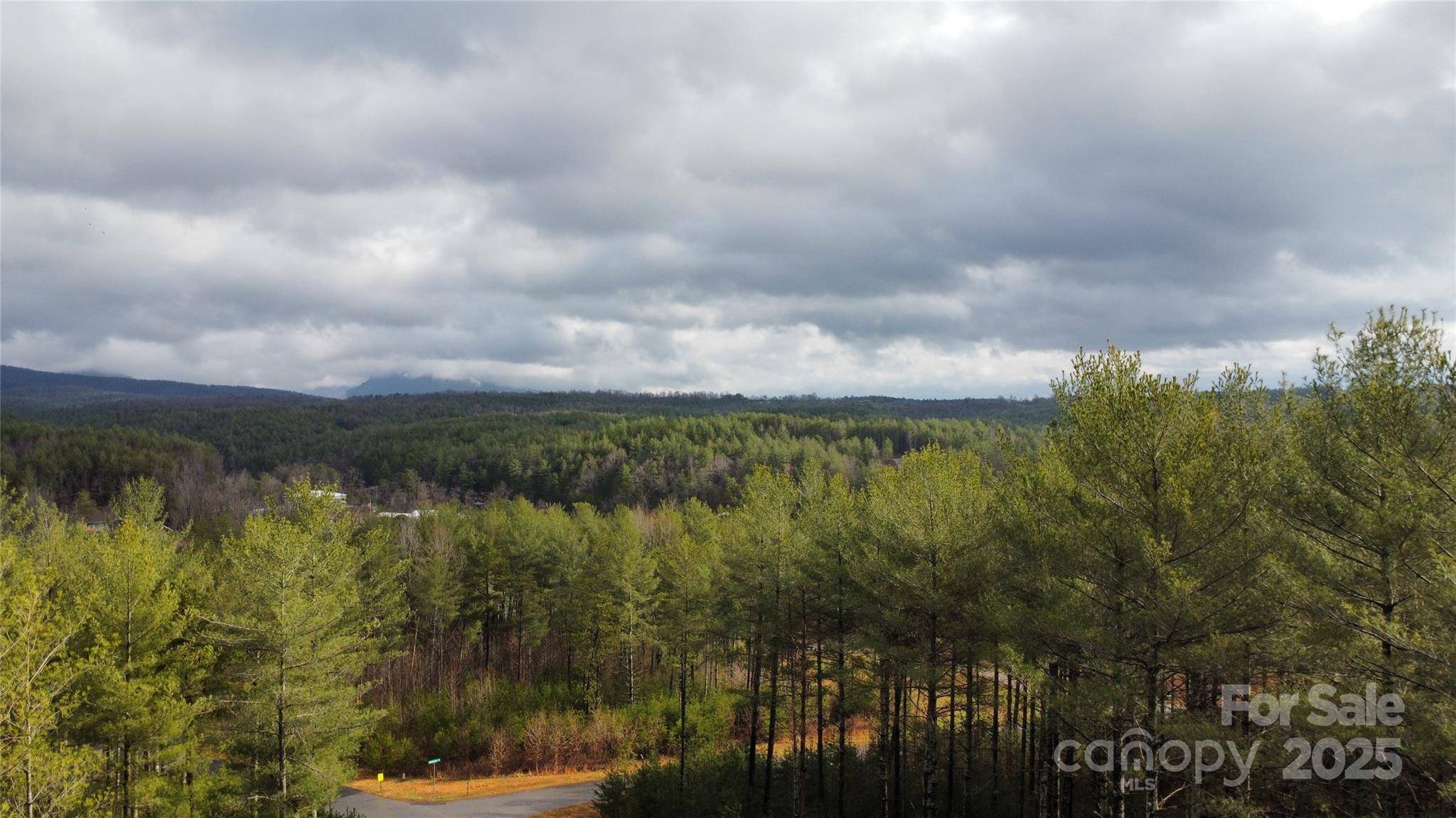 26 Peninsula Reserve RD #26, Nebo, NC 28761