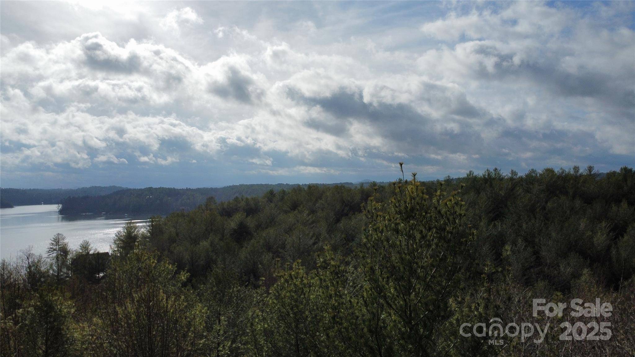 26 Peninsula Reserve RD #26, Nebo, NC 28761