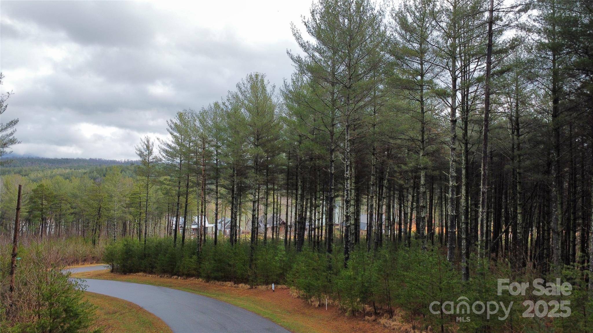 26 Peninsula Reserve RD #26, Nebo, NC 28761
