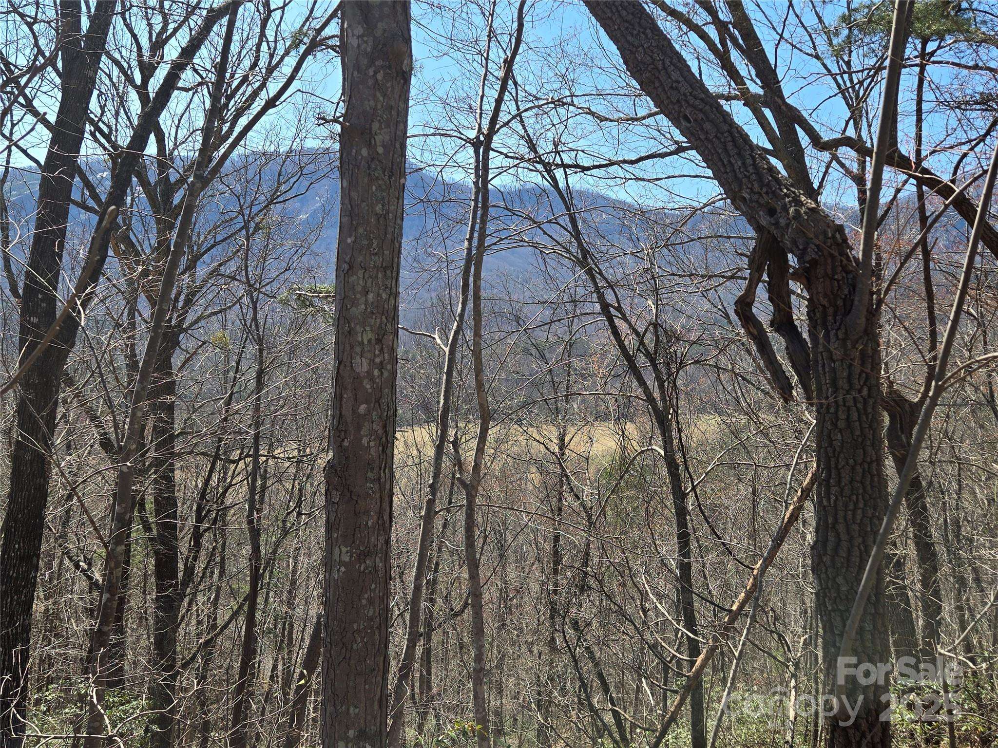 Lot 57 Banjo CT, Lake Lure, NC 28746
