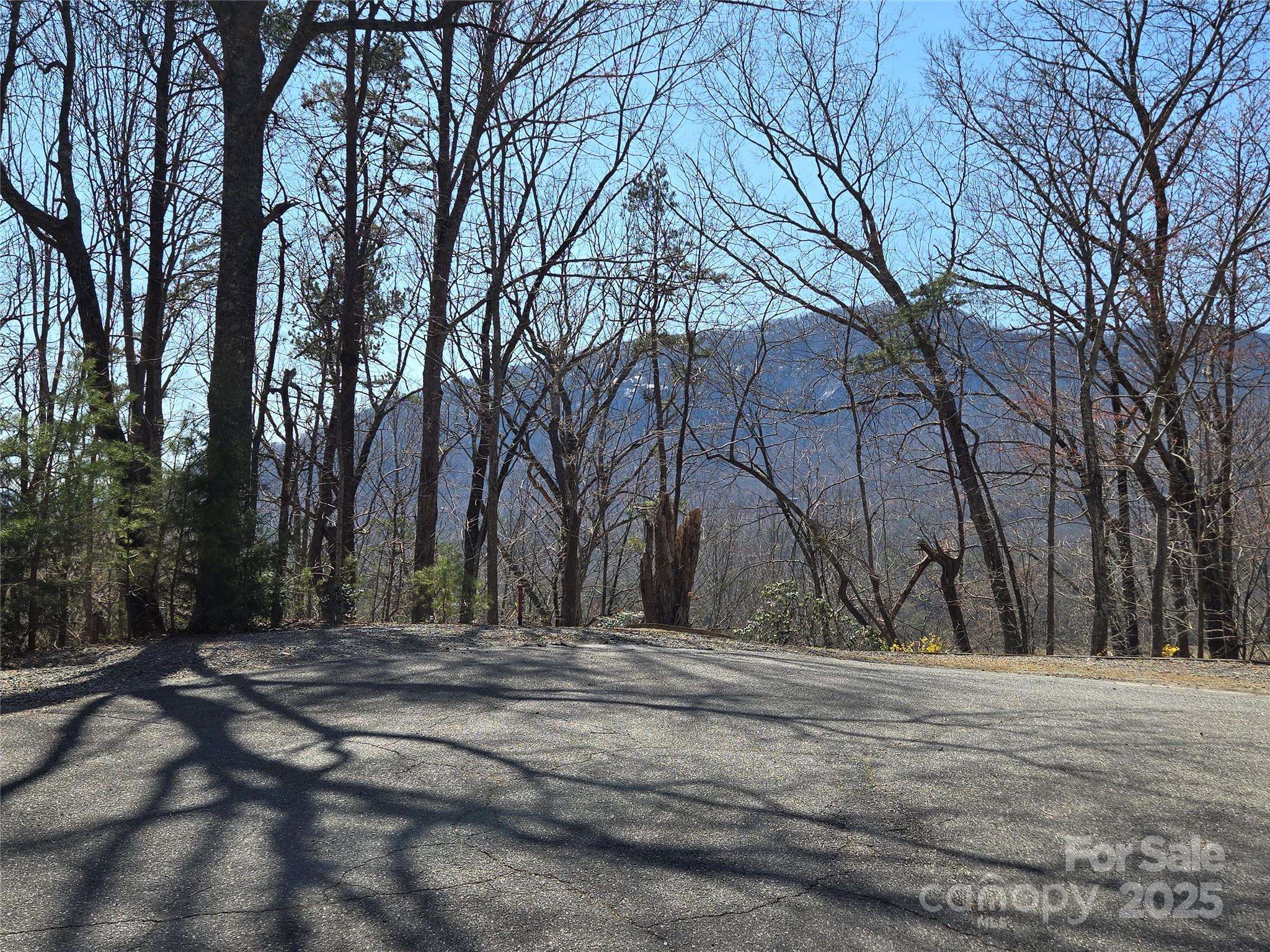 Lot 57 Banjo CT, Lake Lure, NC 28746