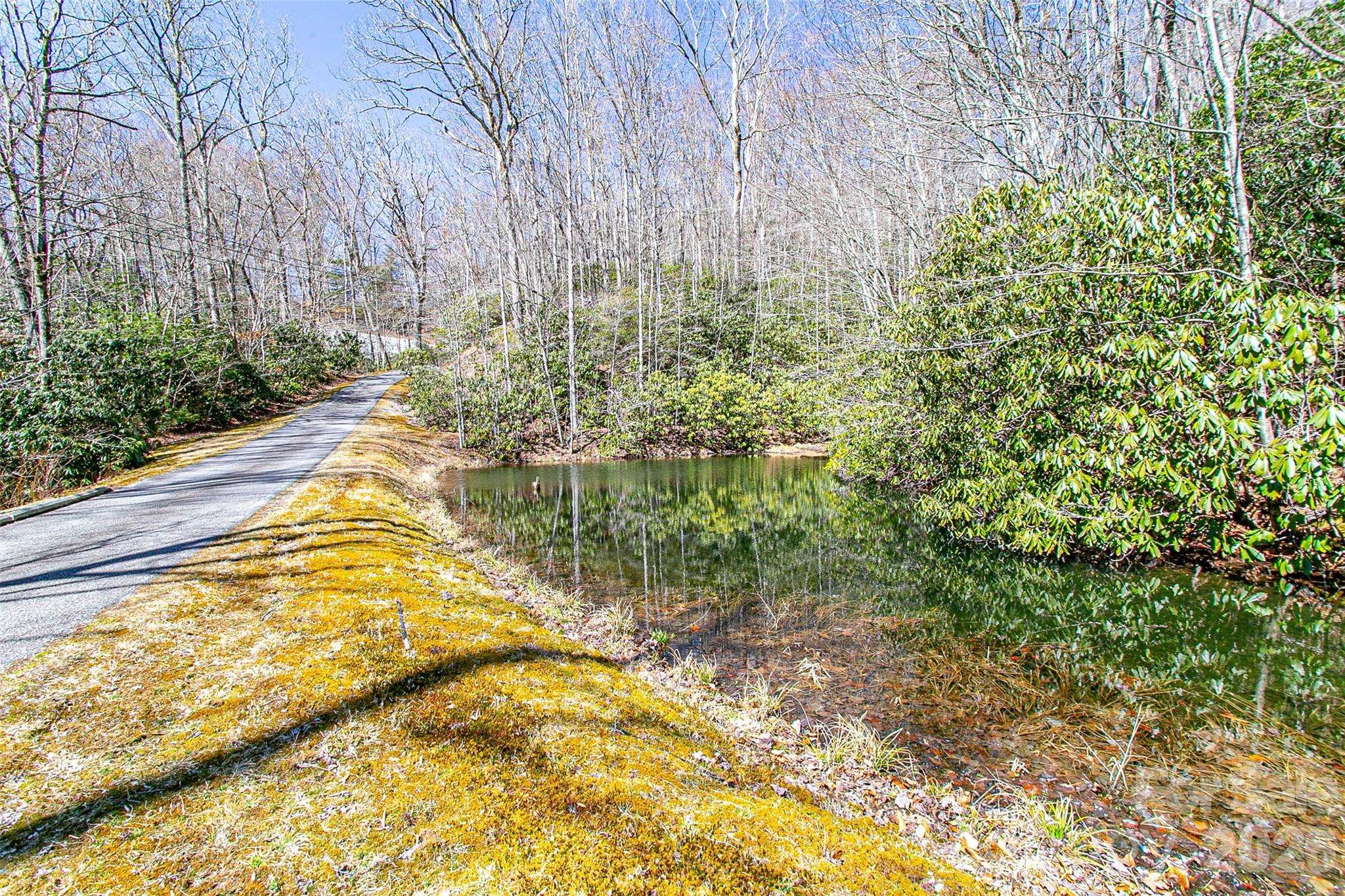 TBD Still Branch RD #L20, Brevard, NC 28712