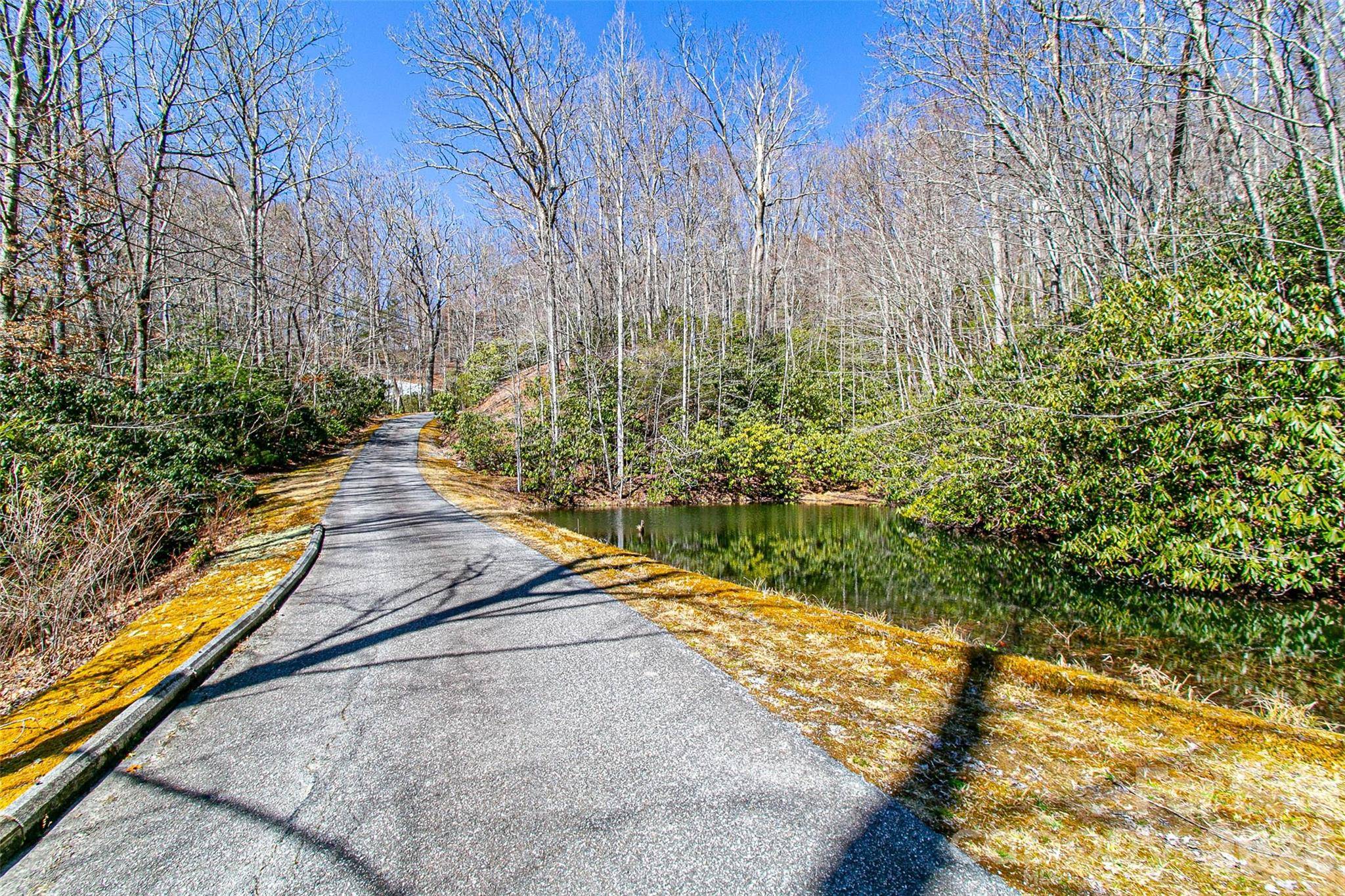 TBD Still Branch RD #L20, Brevard, NC 28712