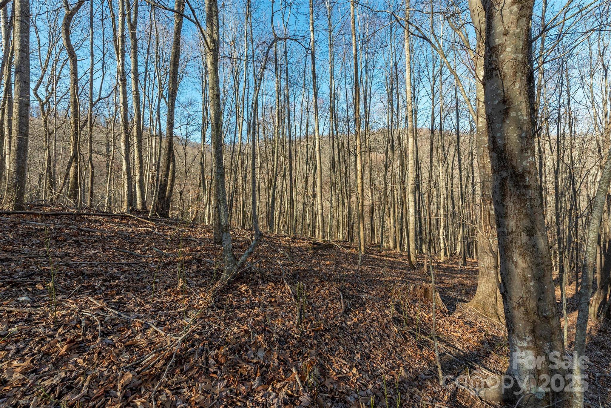 885 Stoney Stream LN, Arden, NC 28704