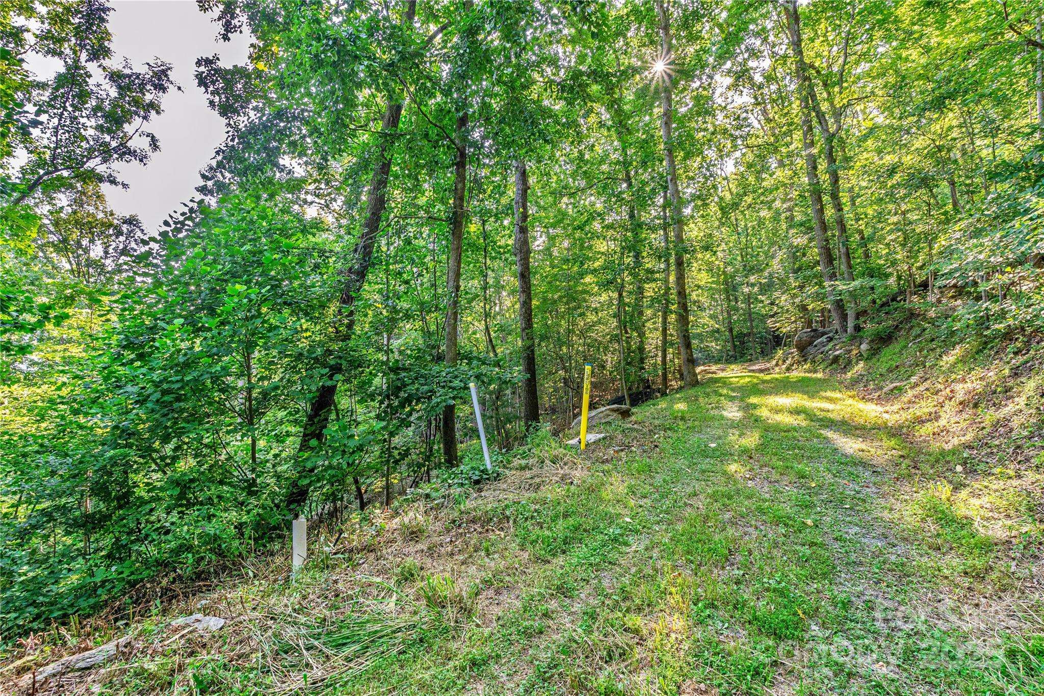Lot W13 Curtain BLF, Hendersonville, NC 28791