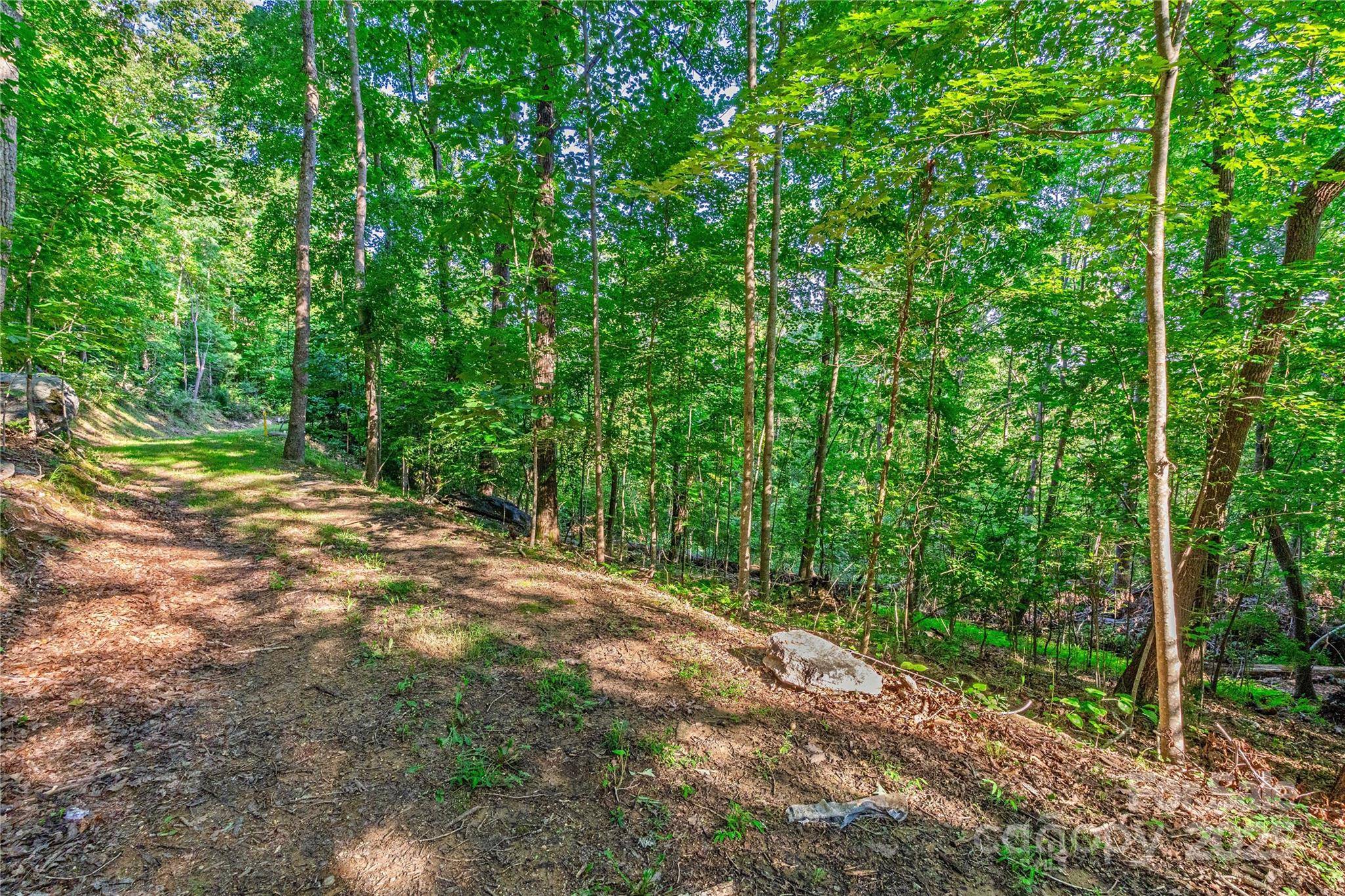 Lot W13 Curtain BLF, Hendersonville, NC 28791