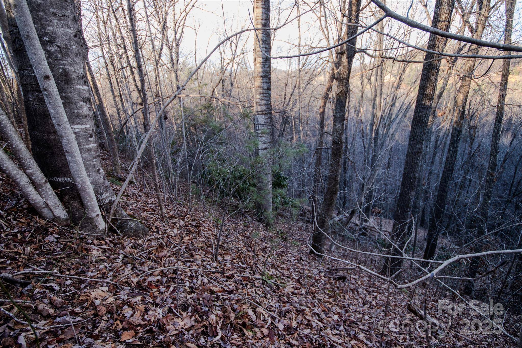 Lot# 22 Autumn RDG #22, Lenoir, NC 28645