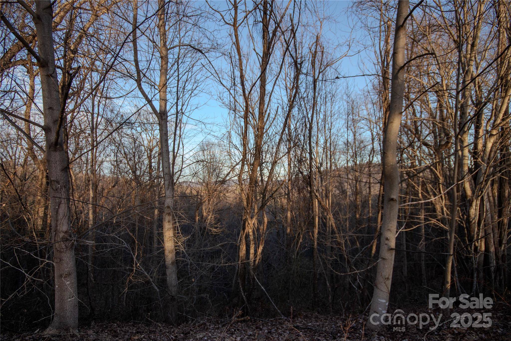 Lot# 22 Autumn RDG #22, Lenoir, NC 28645