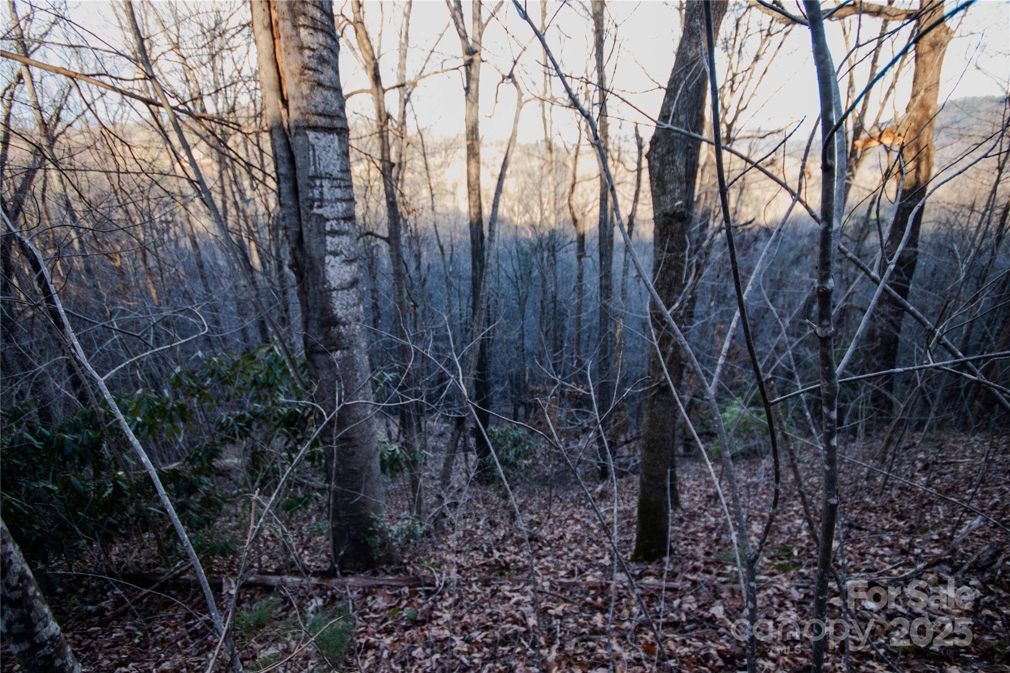 Lot# 22 Autumn RDG #22, Lenoir, NC 28645