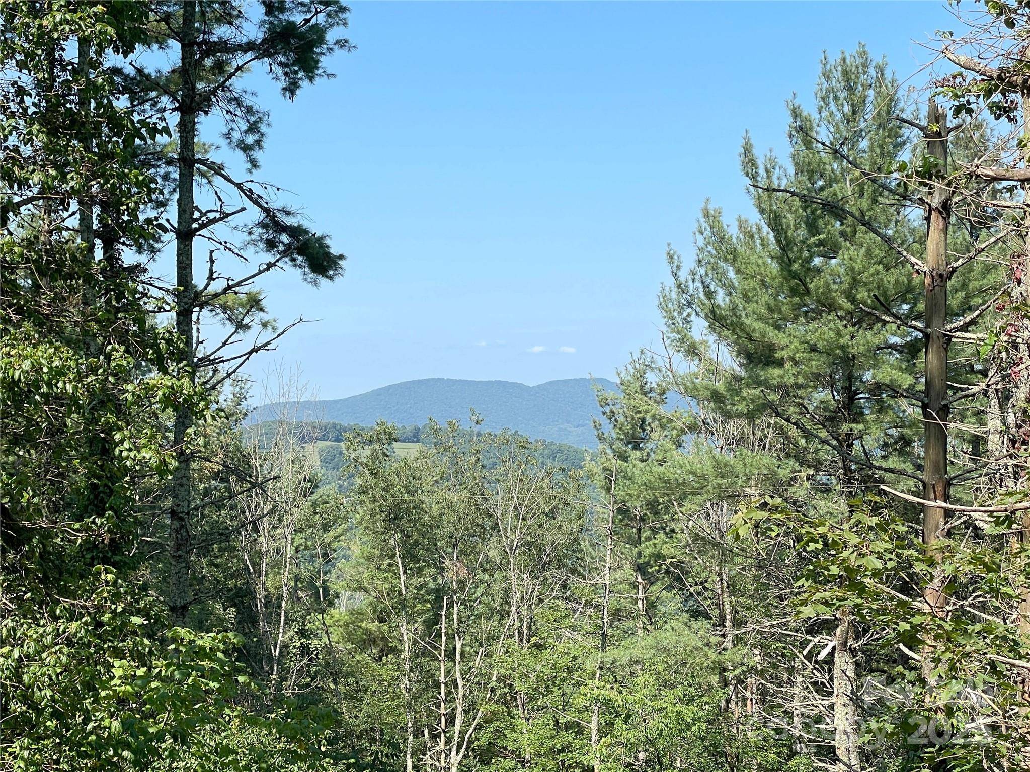 9999 Clouds Rest DR #WR56, Banner Elk, NC 28604