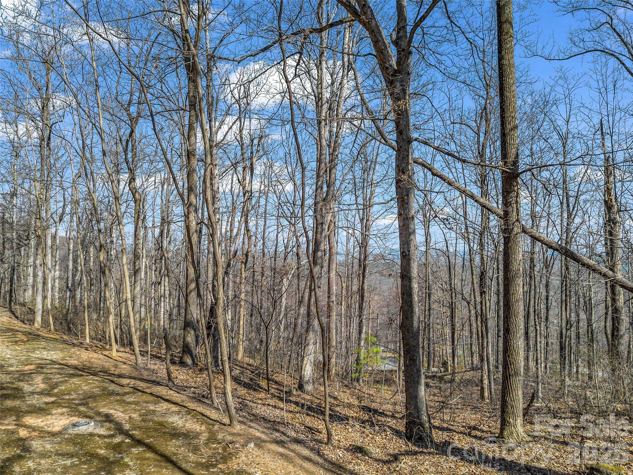 183 Chesterfield DR #183, Mill Spring, NC 28756