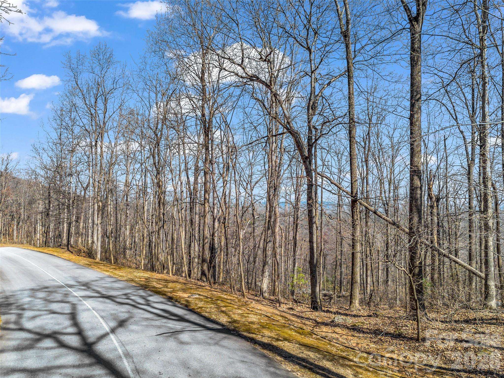 183 Chesterfield DR #183, Mill Spring, NC 28756