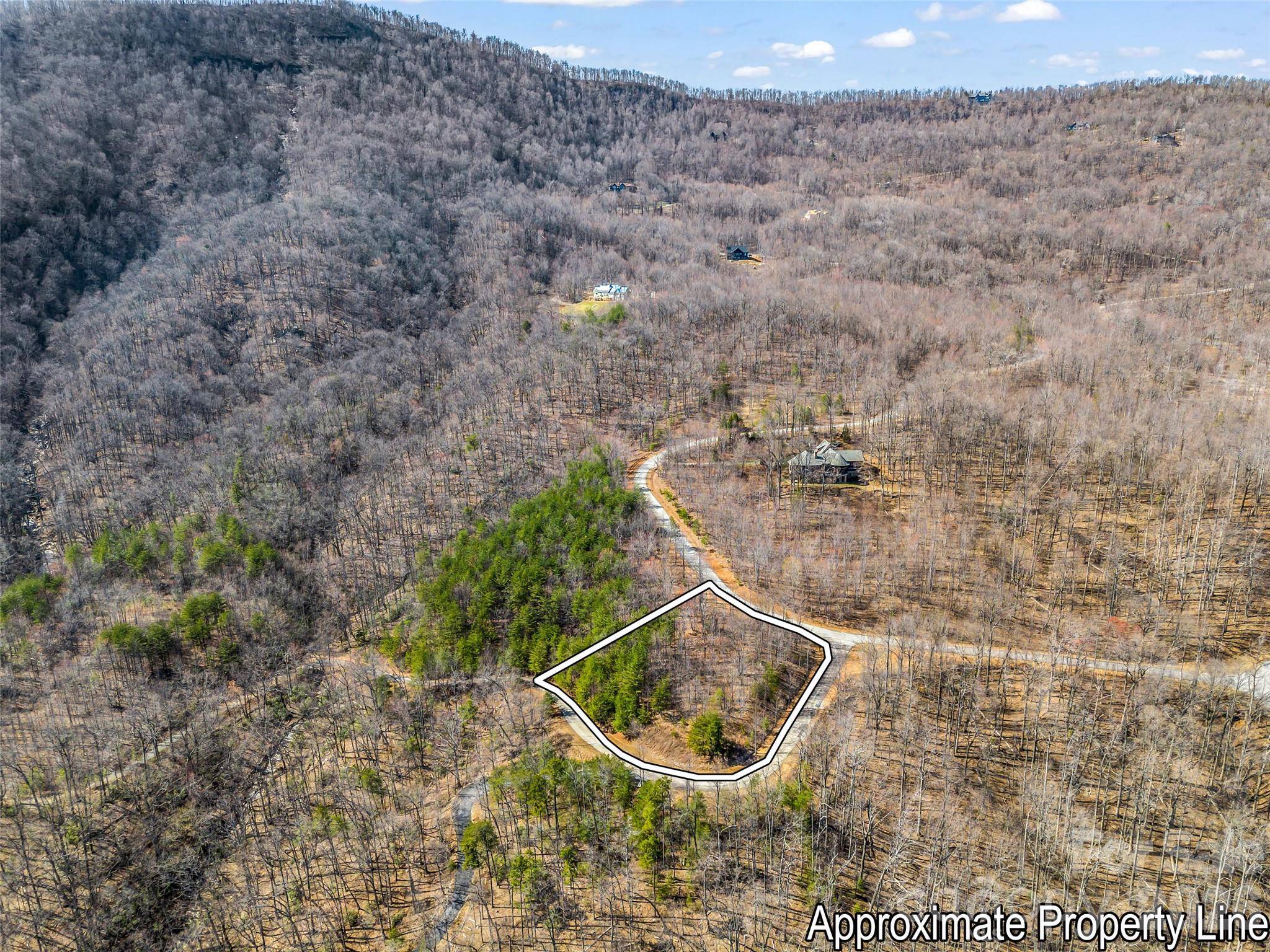 190 Cherry Hill None, Mill Spring, NC 28756