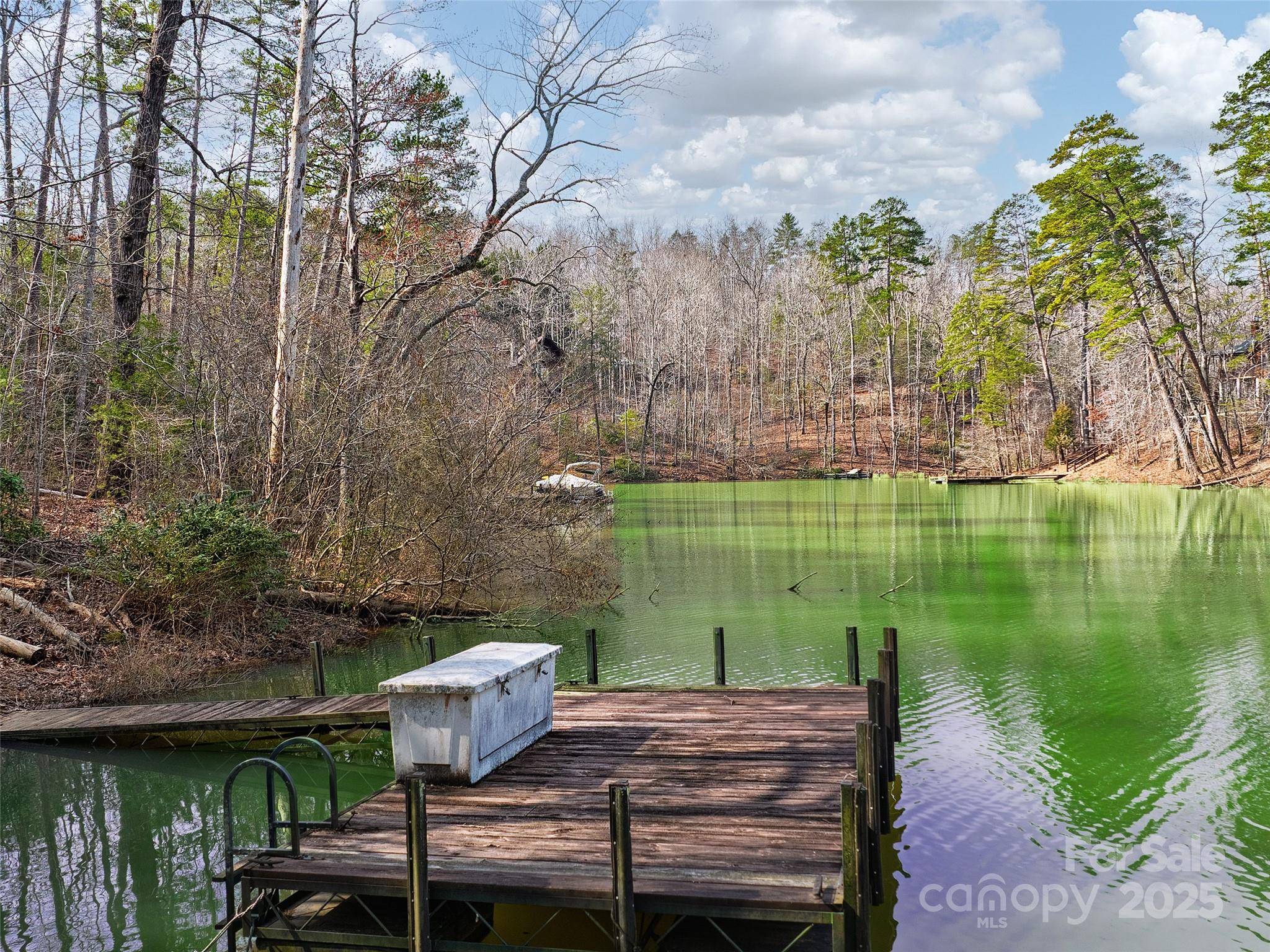 Lot 27 South Cove RD, Mill Spring, NC 28756