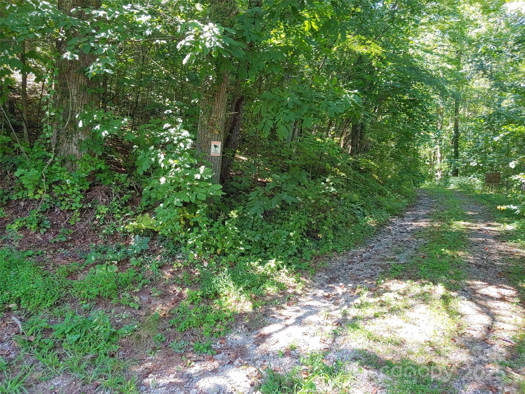 0000 Thomasville LN, Gerton, NC 28735