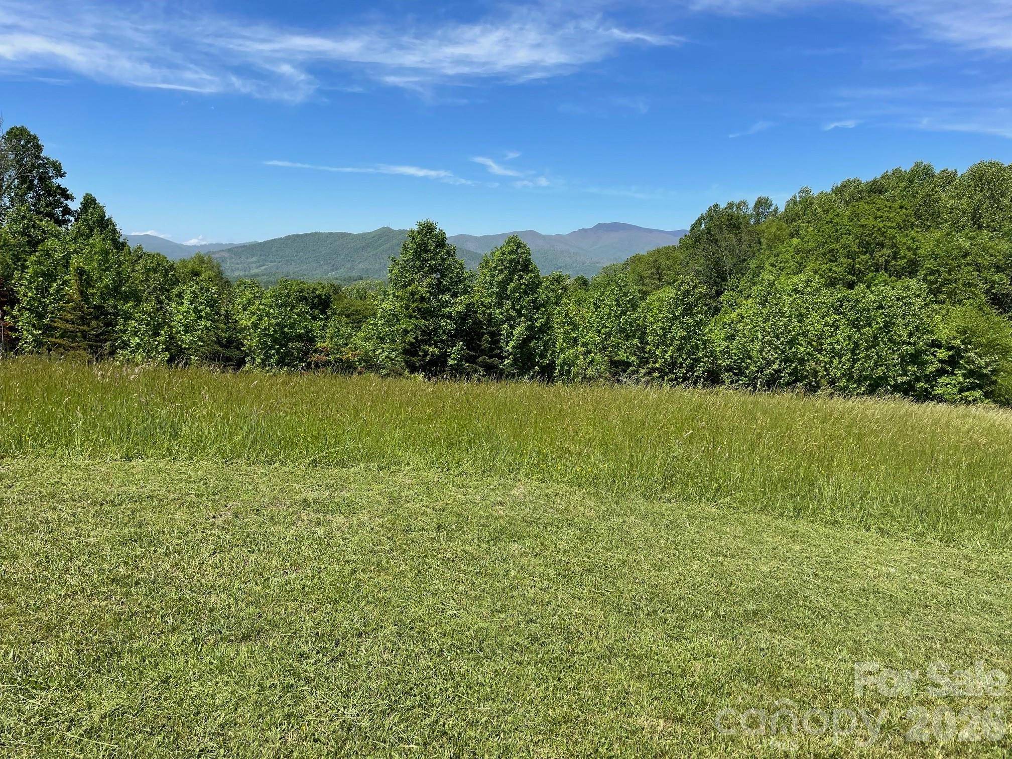 999 Chestnut Mountain DR, Green Mountain, NC 28740