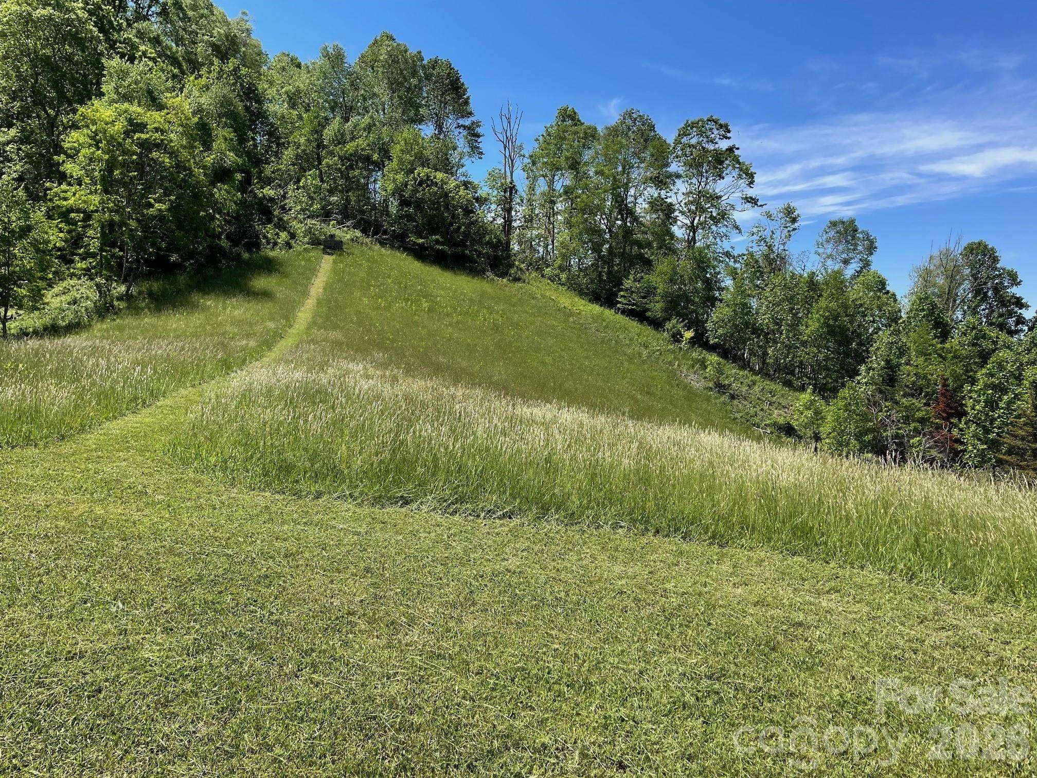 999 Chestnut Mountain DR, Green Mountain, NC 28740