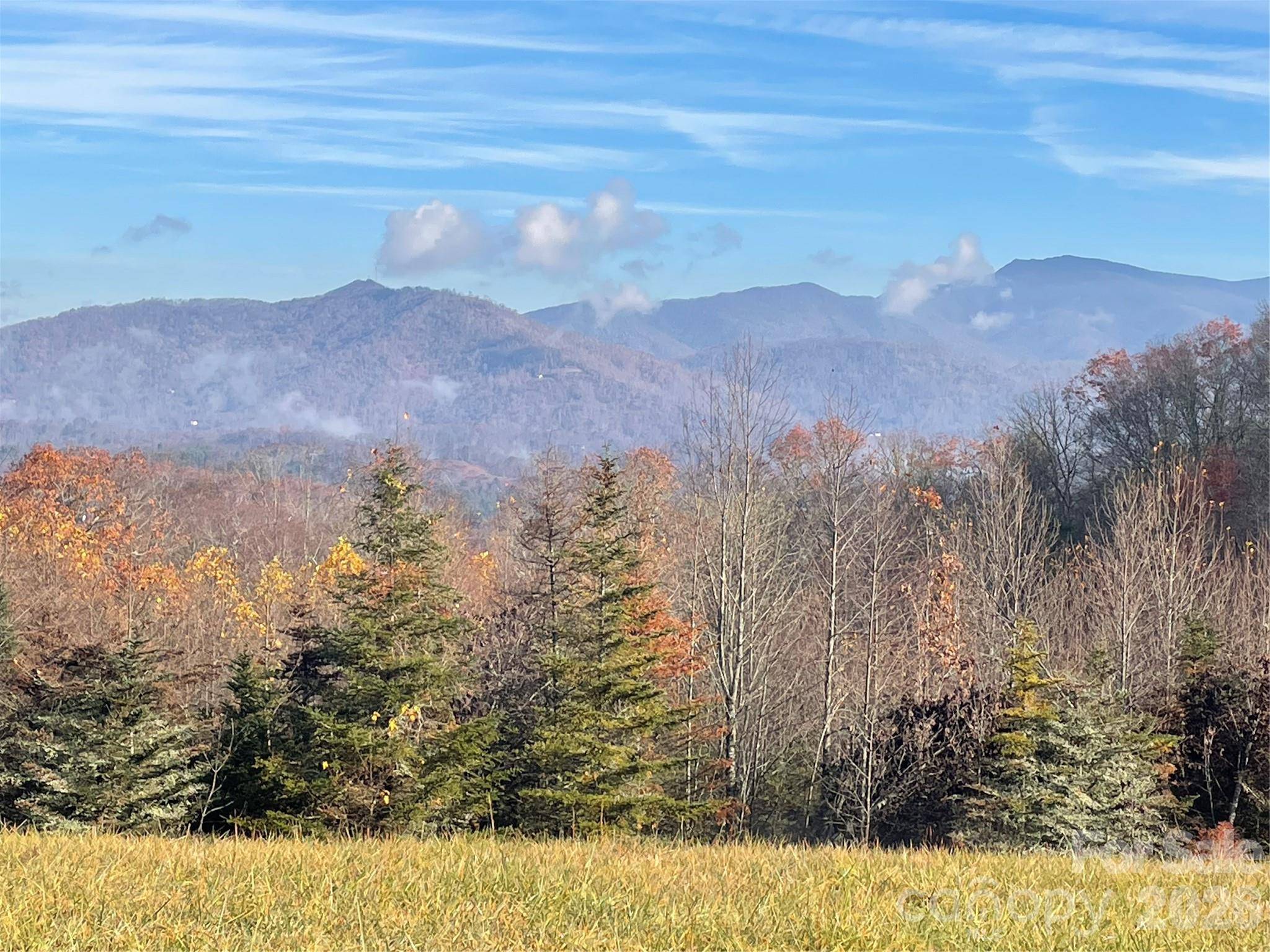 999 Chestnut Mountain DR, Green Mountain, NC 28740